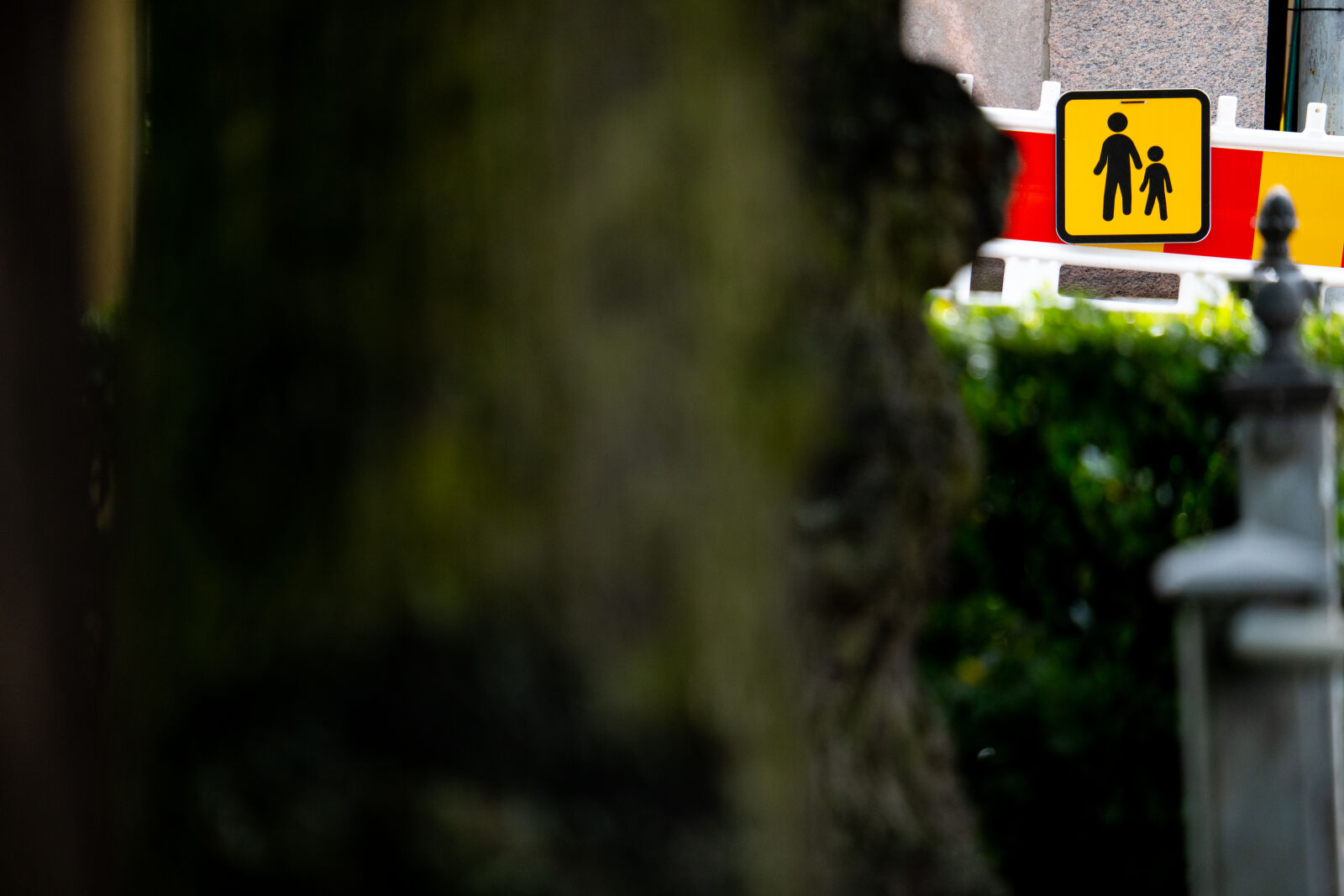 Sony a1 + Sigma 150-600mm F5-6.3 DG DN OS | S sample photo. New pedestrian sign photography