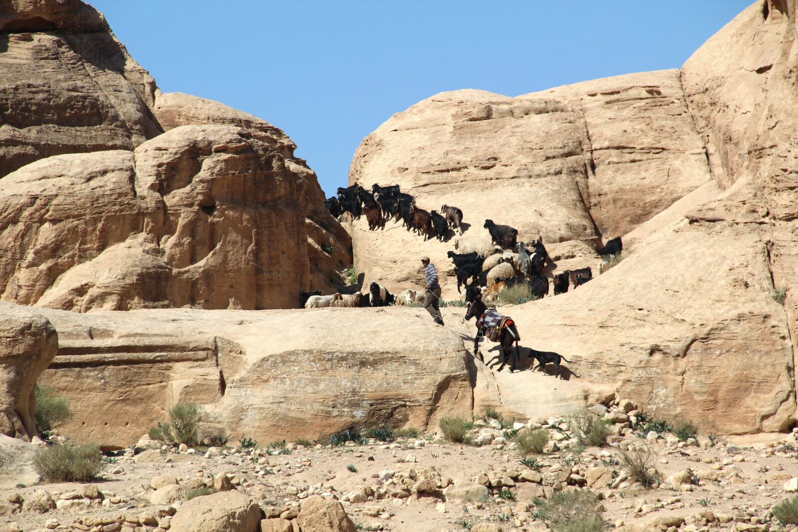 Canon EOS 600D (Rebel EOS T3i / EOS Kiss X5) sample photo. Rock, tourism, nature photography