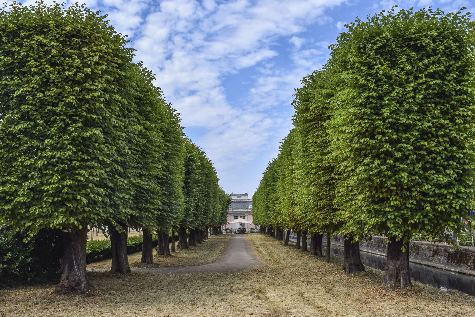 Nikon D3300 sample photo. Landscape, avenue, nature photography