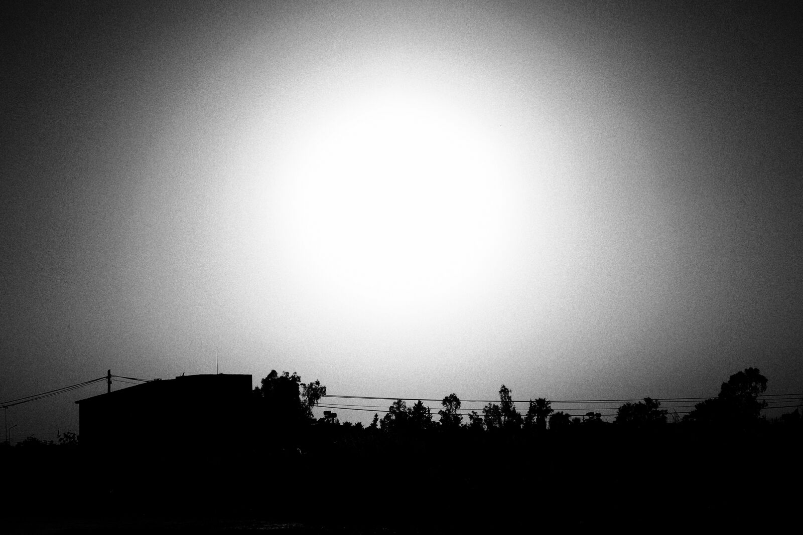 Olympus OM-D E-M10 III sample photo. Black, white, home photography