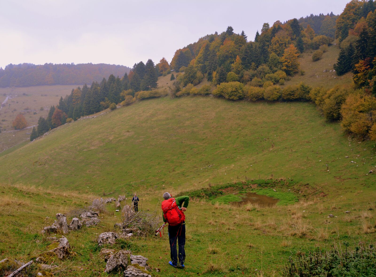 Nikon D7100 sample photo. Hiking, walk, autumn photography