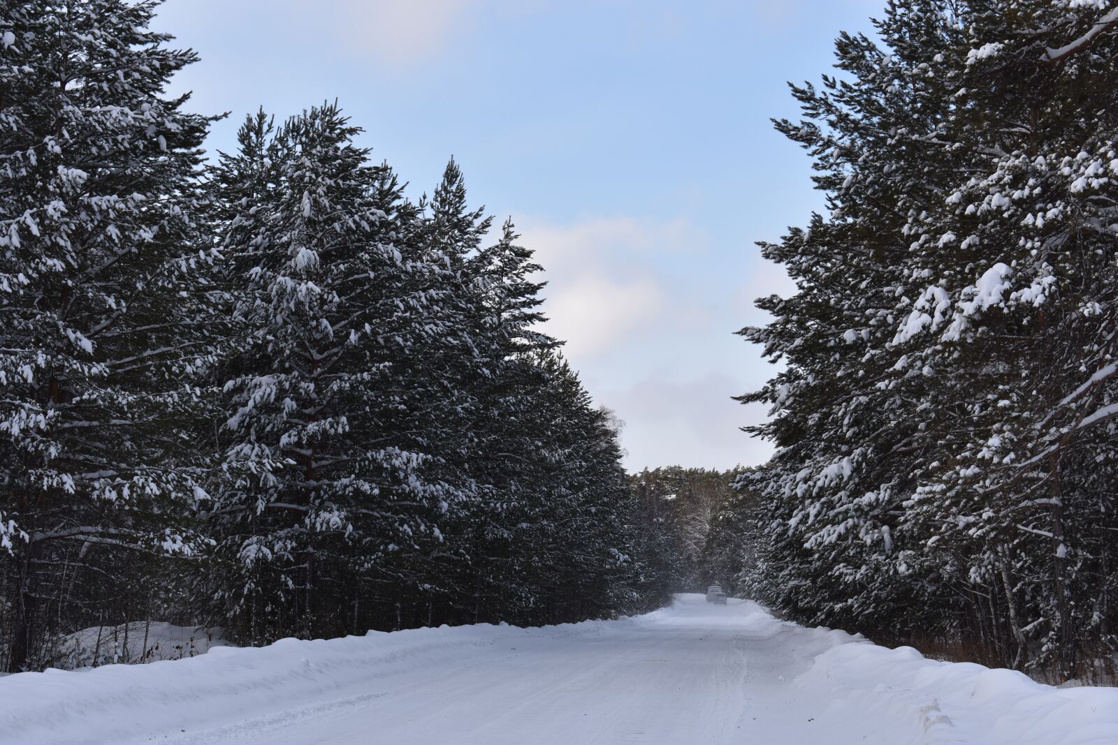 Nikon D3400 sample photo. Winter, snow, forest photography