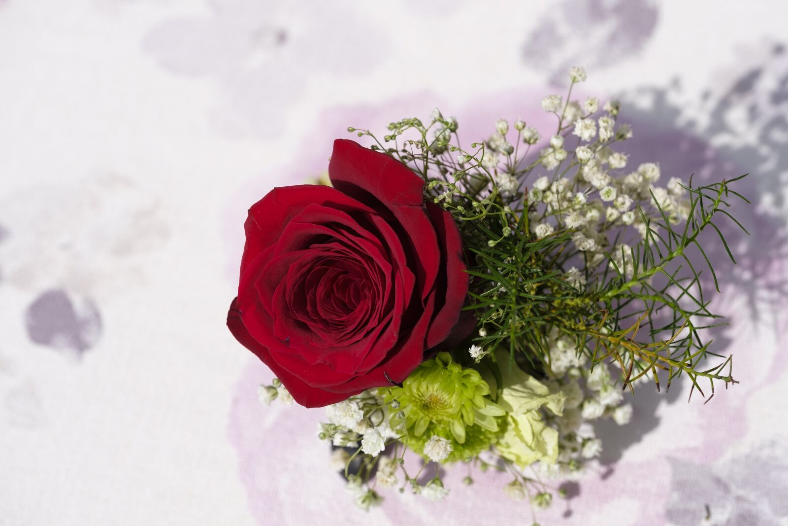 Fujifilm X-T2 + Fujifilm XF 80mm F2.8 R LM OIS WR Macro sample photo. Rose, bouquet of roses photography