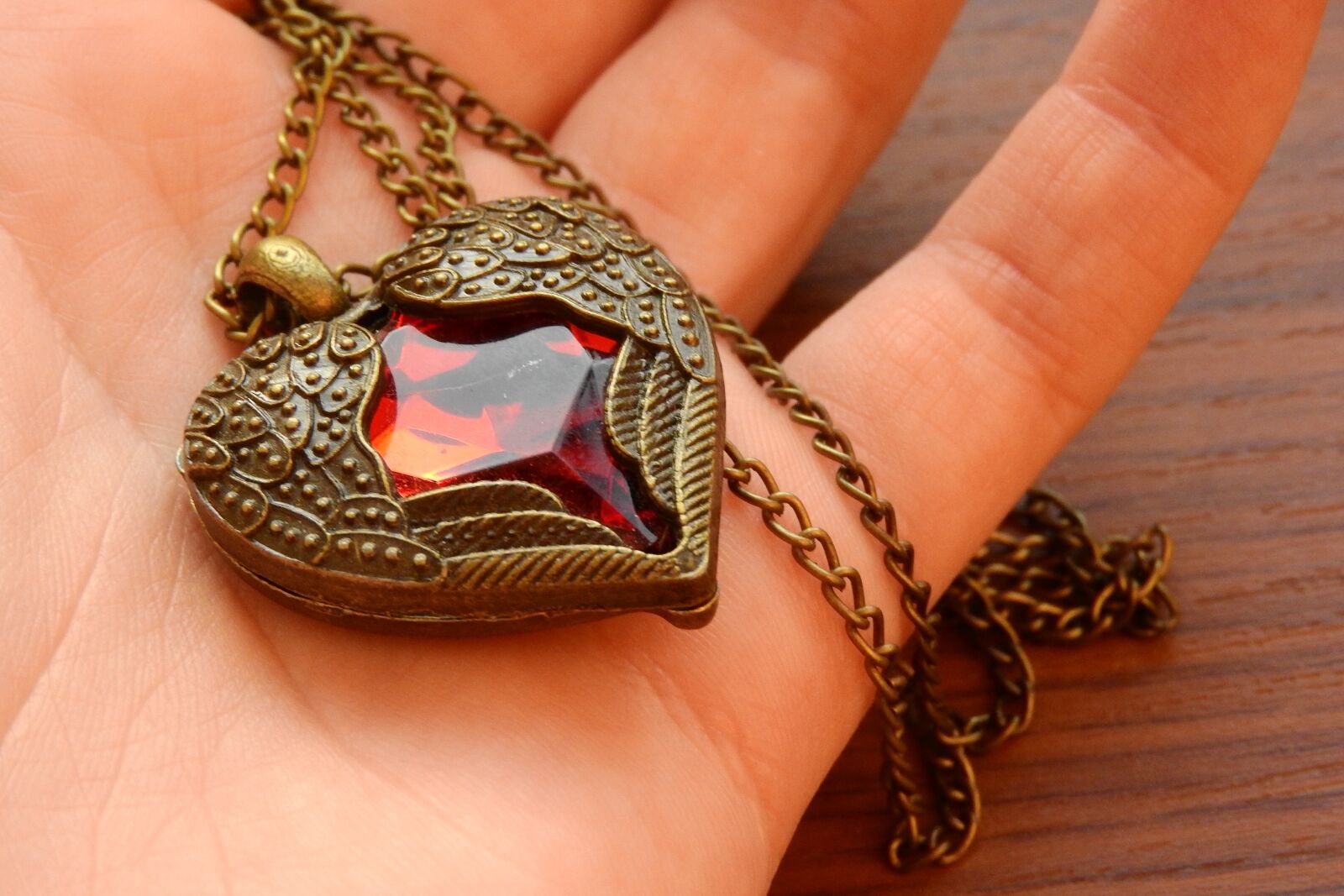 Nikon Coolpix P610 sample photo. Necklace with winged heart photography