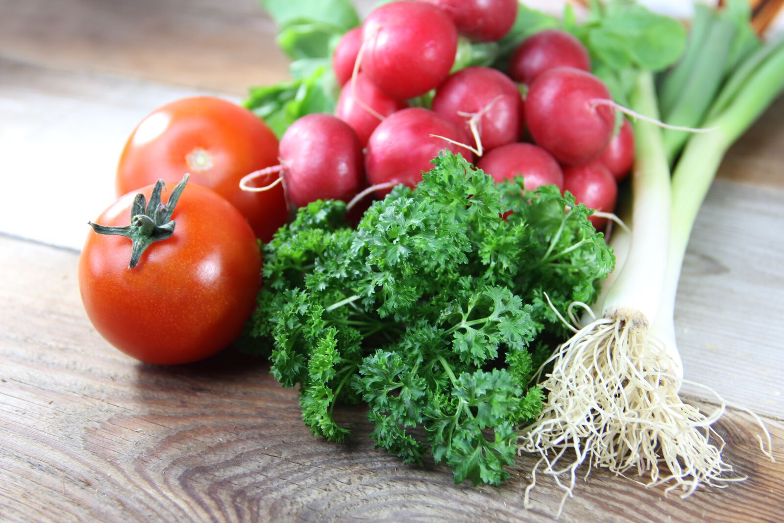 Canon EOS 600D (Rebel EOS T3i / EOS Kiss X5) sample photo. Vegetables, leek, green photography