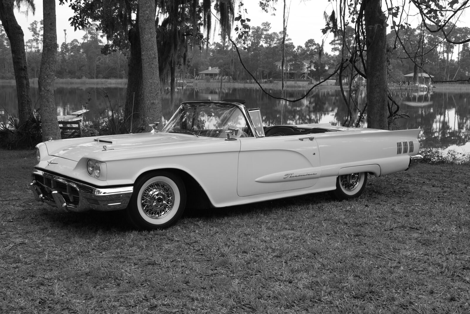 Nikon D60 sample photo. Thunderbird, ford, car photography