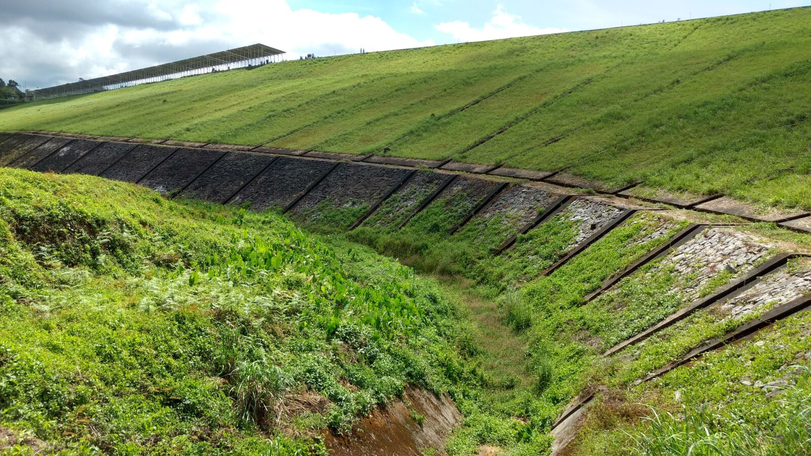 Motorola Moto G (4) sample photo. Dam, grass, green photography