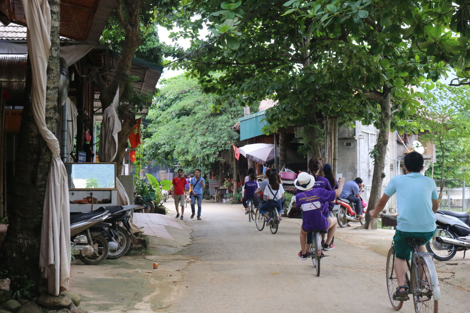 Canon EOS 70D sample photo
