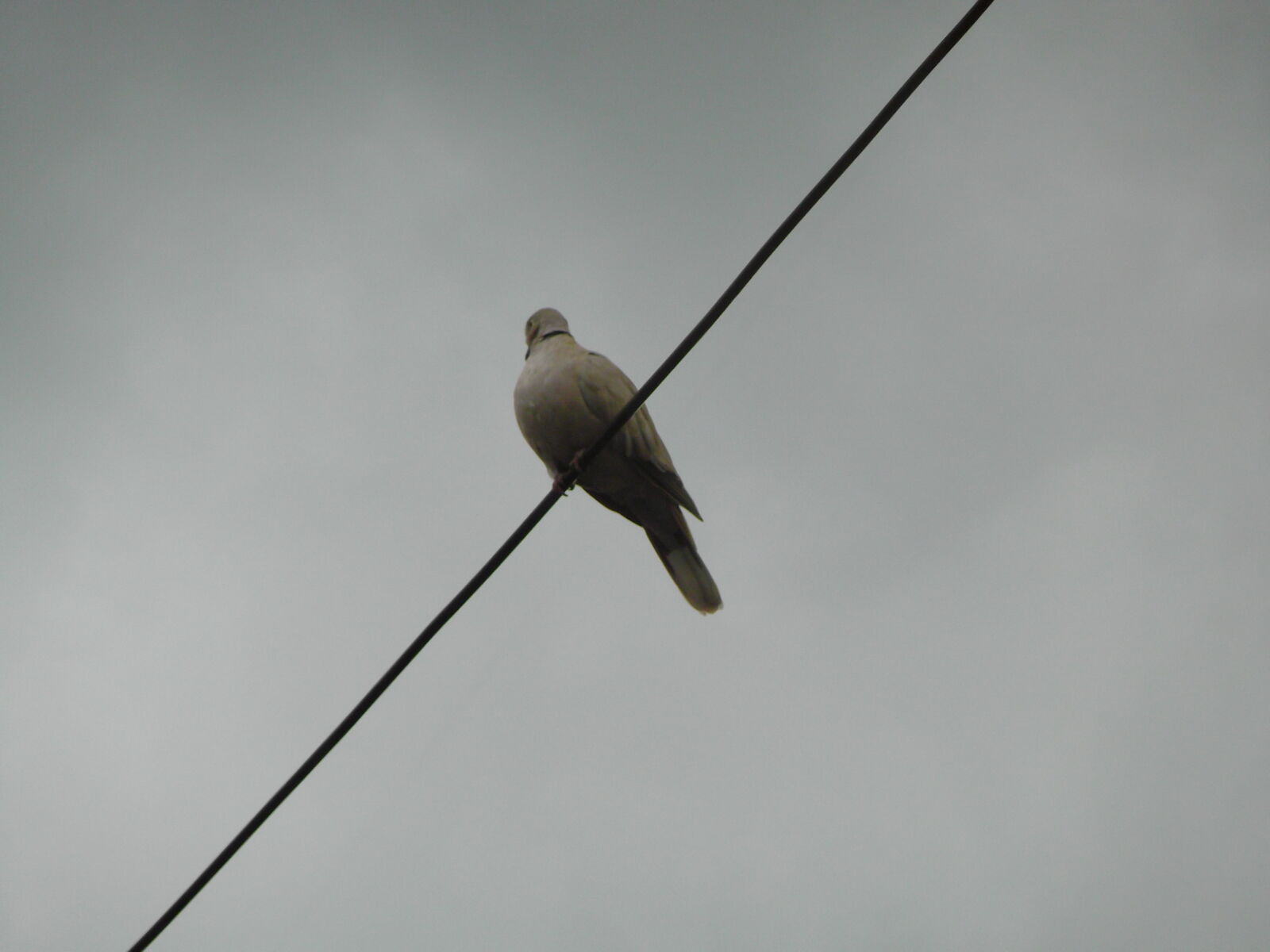 FujiFilm FinePix T200 (FinePix T205) sample photo