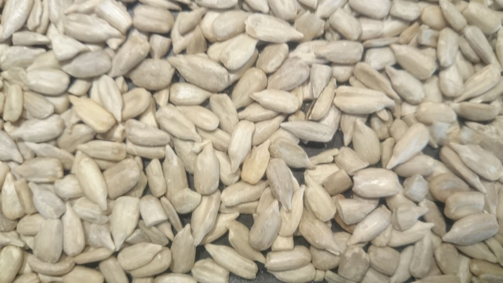 Sony Xperia Z2 sample photo. Food, seeds, healthy photography