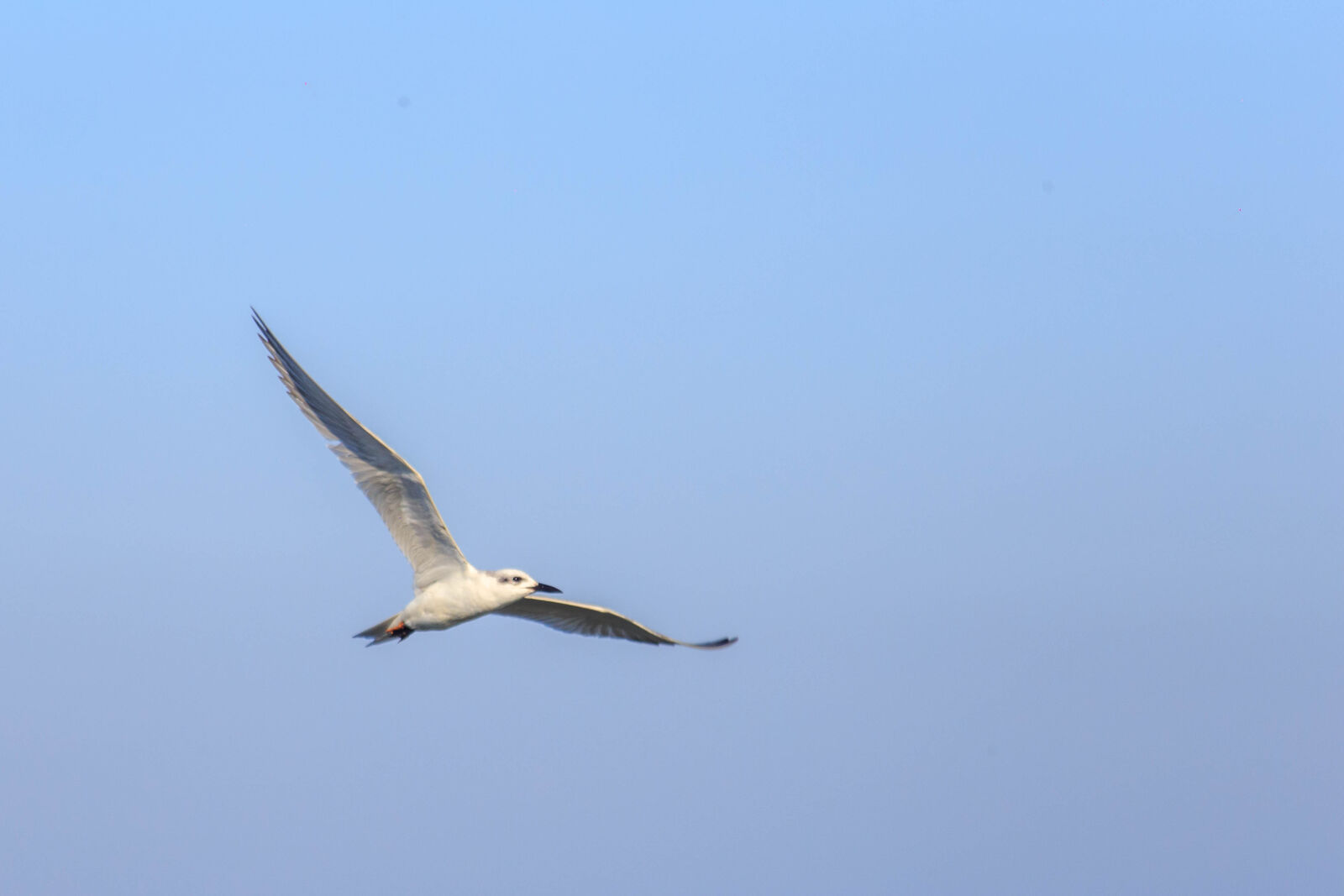 Canon EOS 6D sample photo