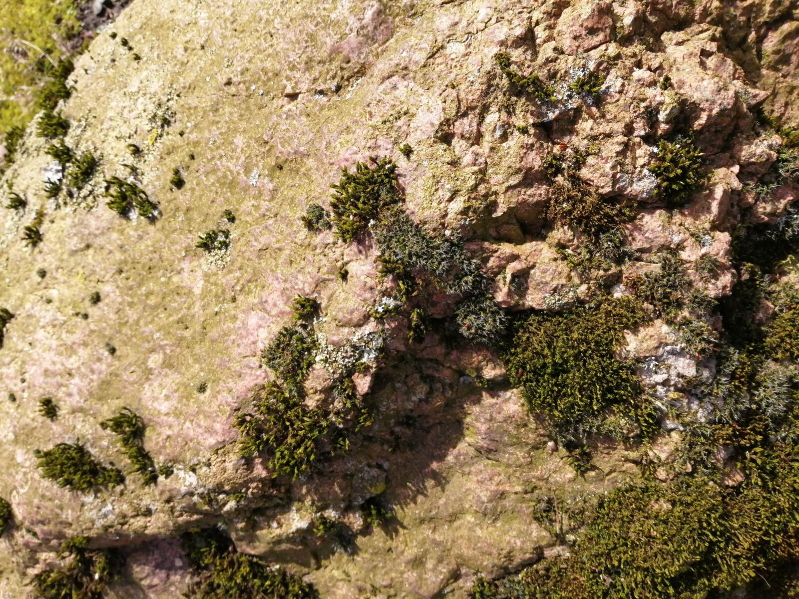 HUAWEI P SMART 2019 sample photo. Stone, nature, rock photography