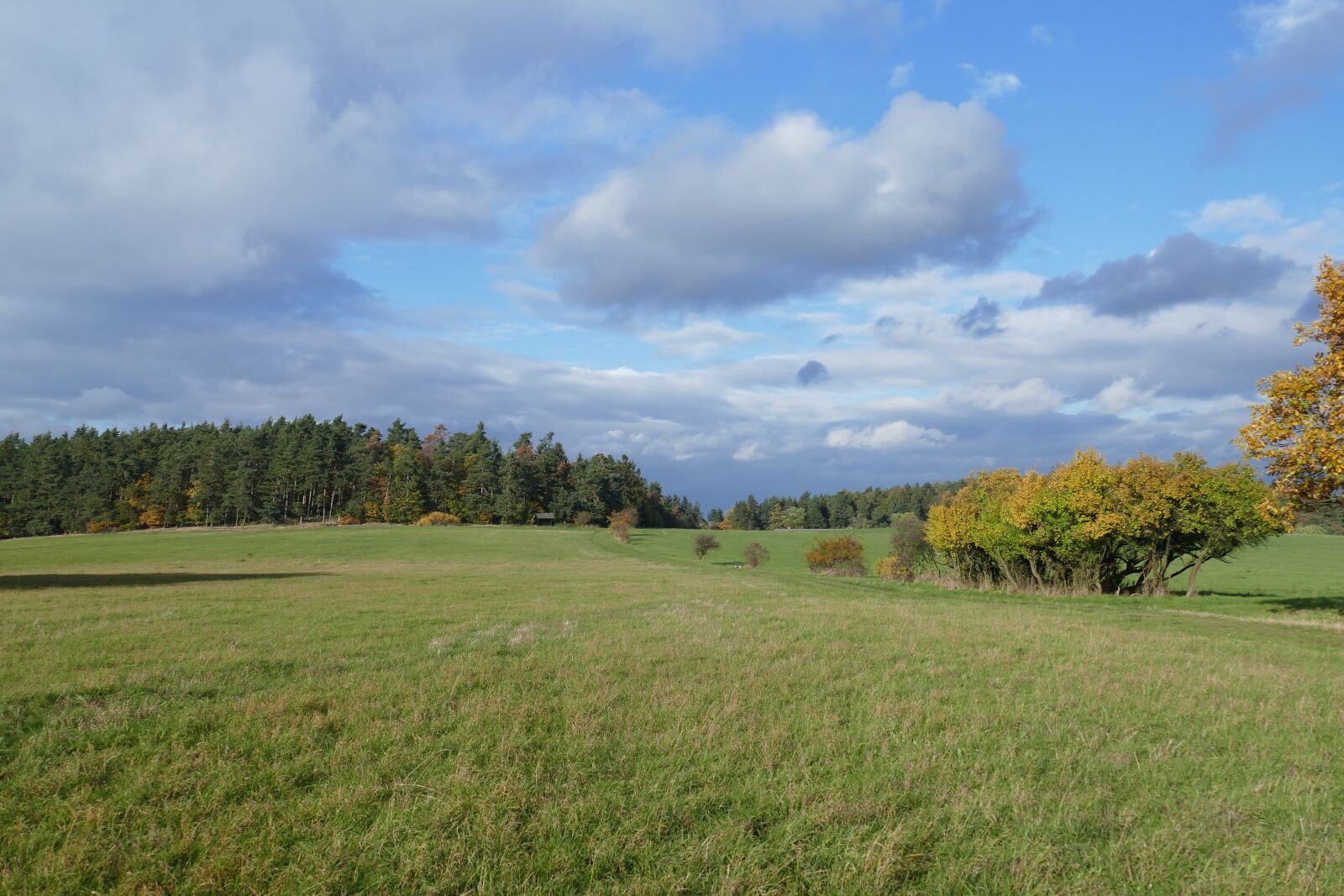 Panasonic Lumix DMC-FZ1000 sample photo. Landscape, autumn, meadow photography