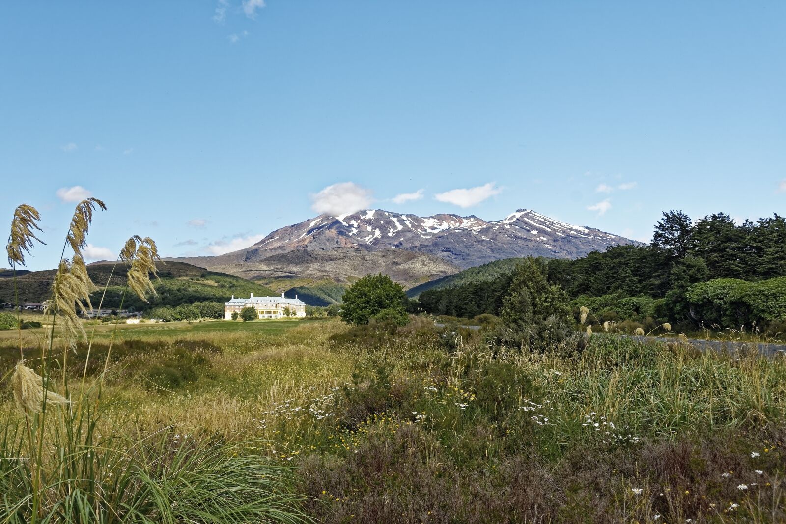 Nikon D500 sample photo. New zealand, tongariro national photography