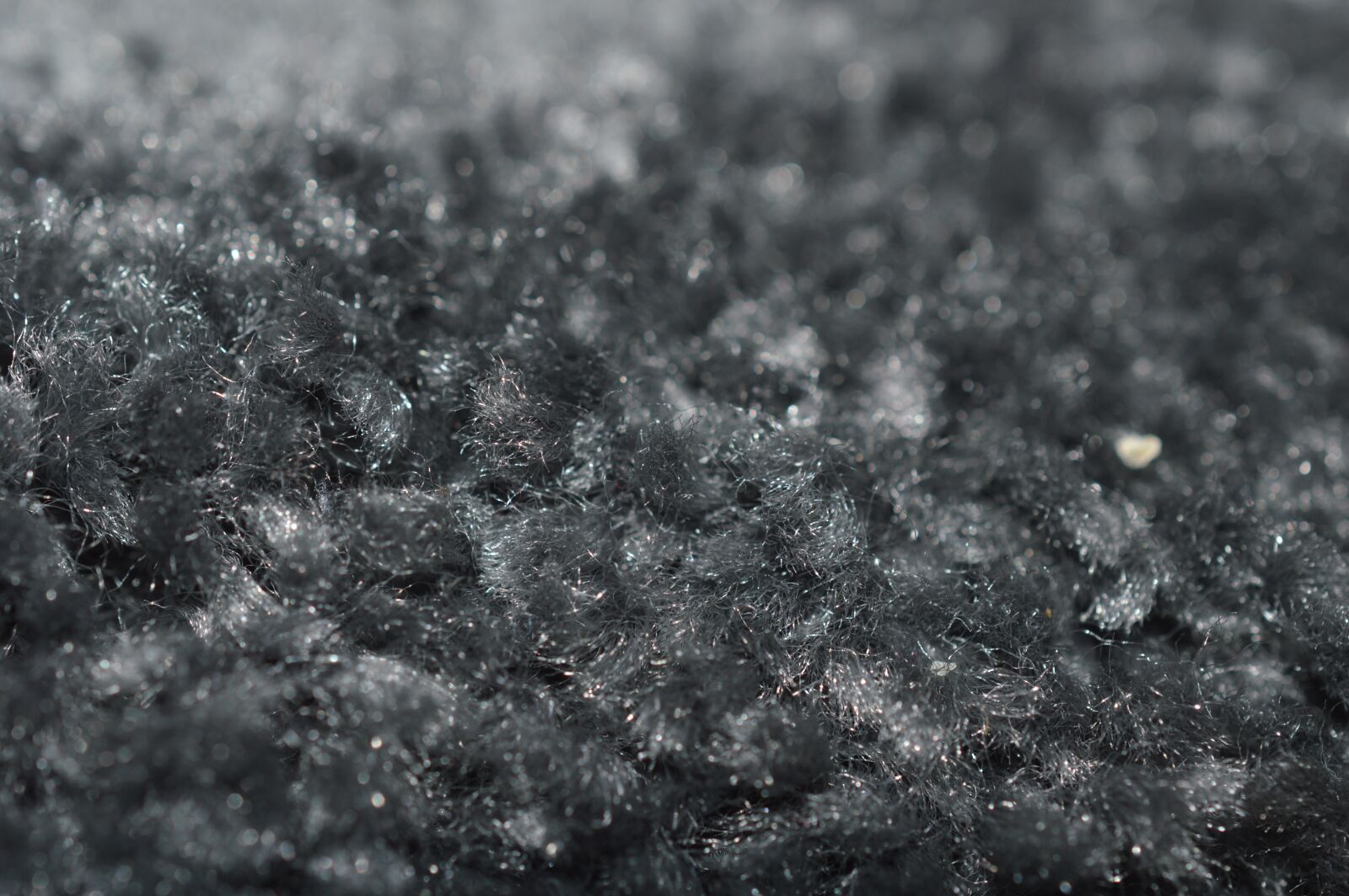 Nikon D3200 sample photo. Macro, pattern, texture photography