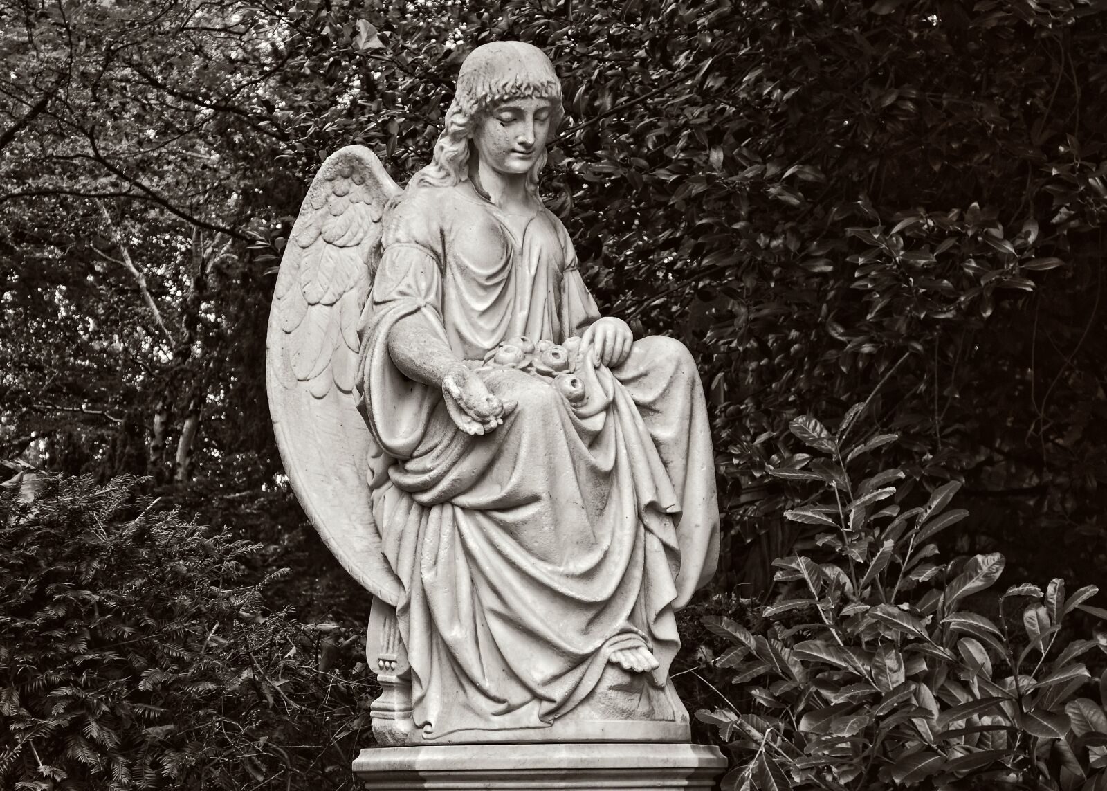 Sony Cyber-shot DSC-RX100 sample photo. Sculpture, angel, cemetery photography