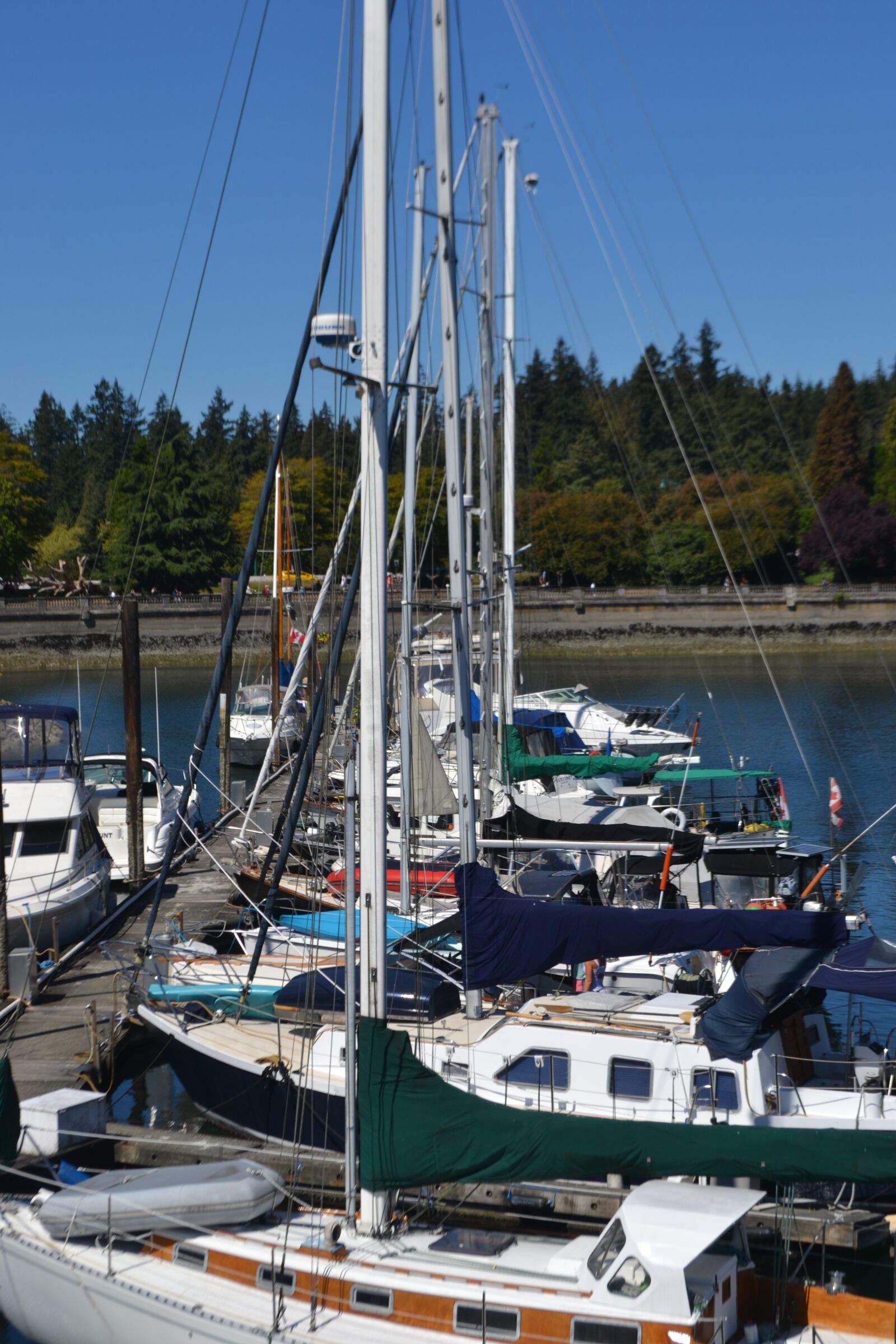 Nikon D3100 sample photo. Canada, vancouver, city photography