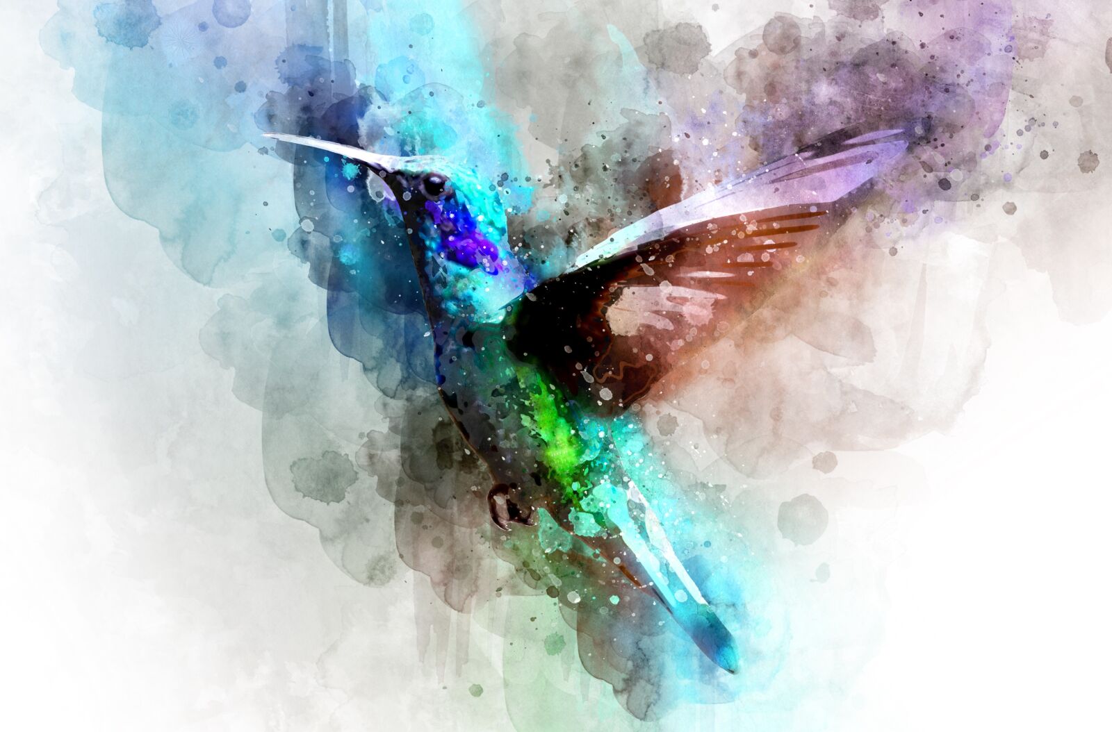 Nikon D3S sample photo. Bird, watercolor, drawing photography