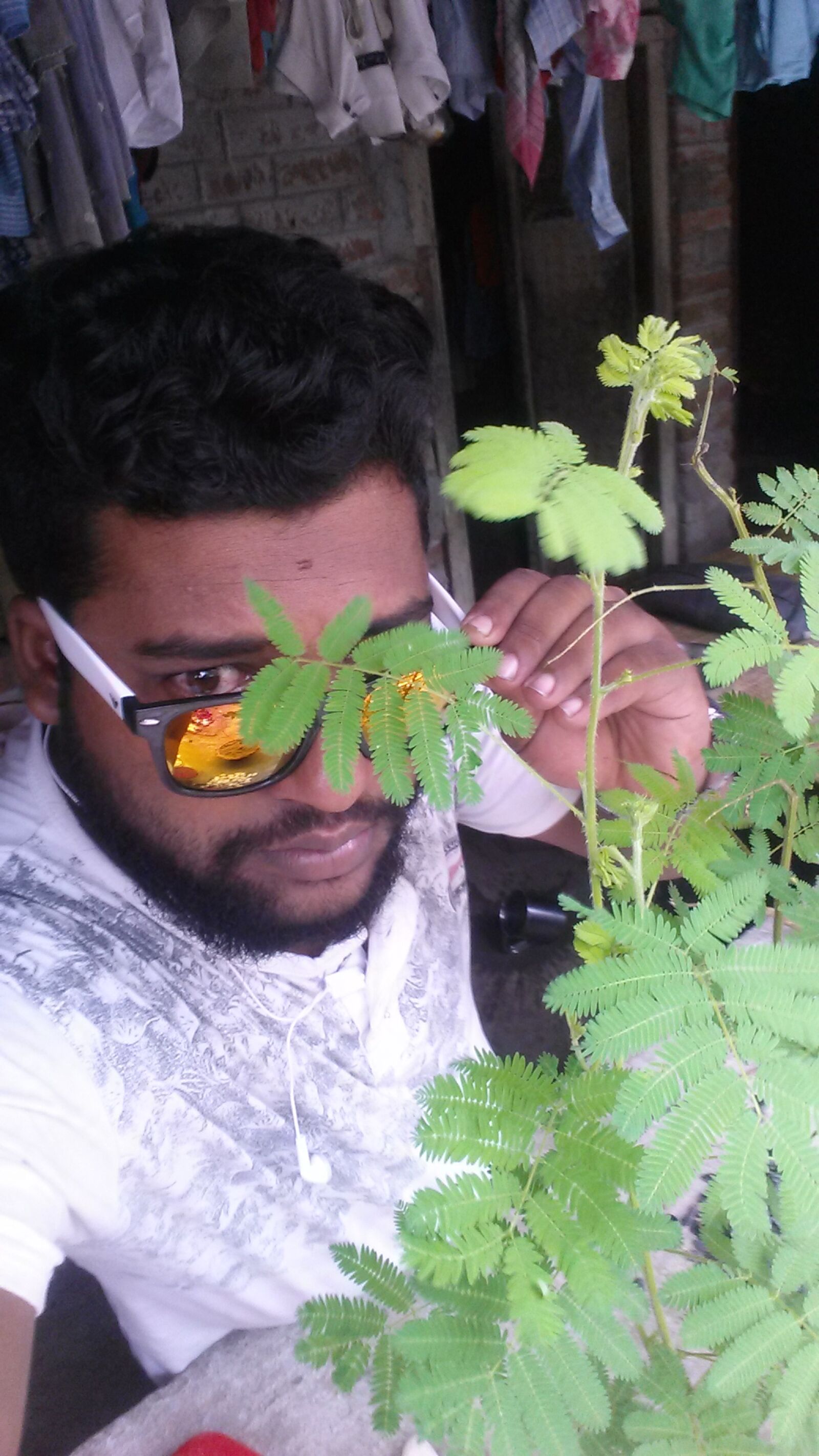 Samsung Galaxy S4 sample photo
