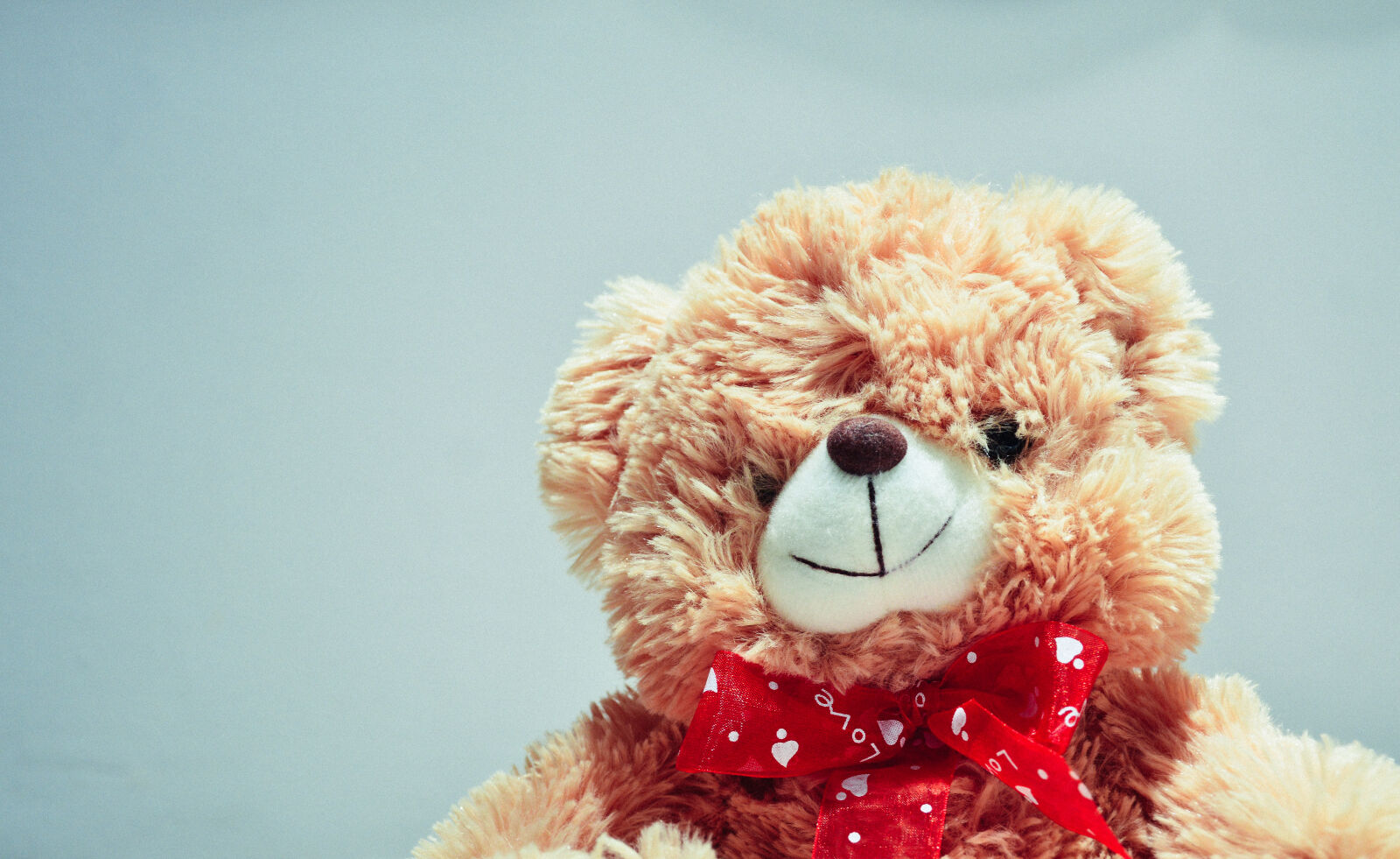 Nikon D3200 sample photo