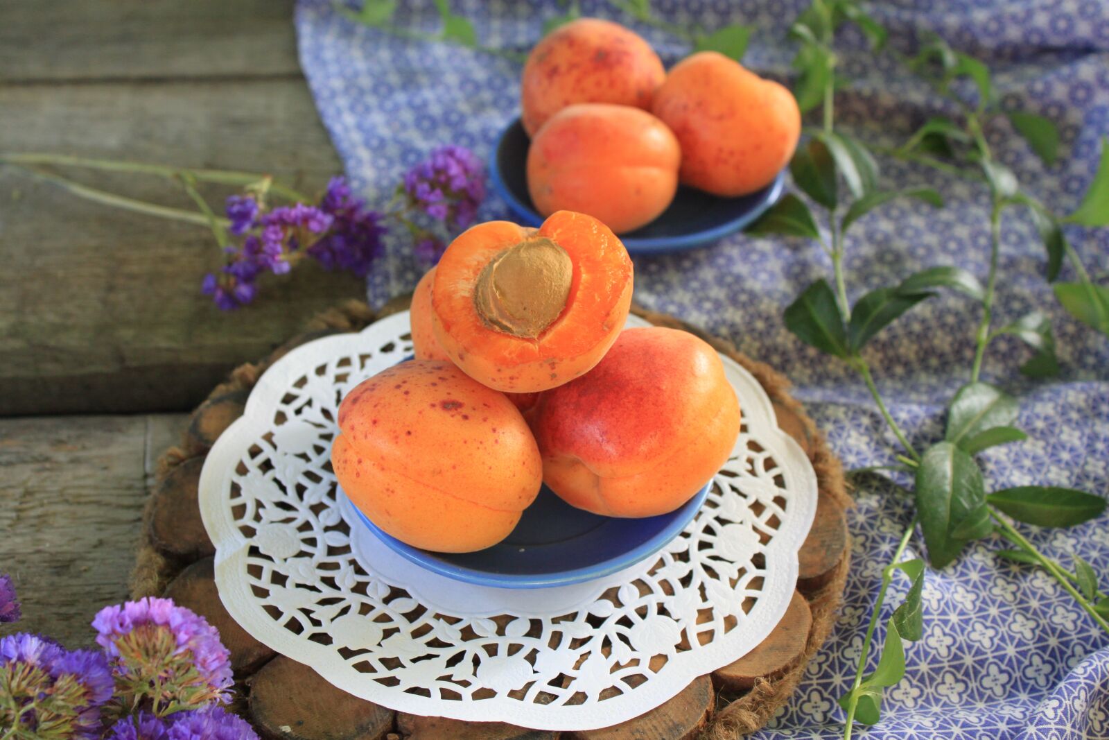 Canon EOS 500D (EOS Rebel T1i / EOS Kiss X3) sample photo. Apricot, table, autumn photography