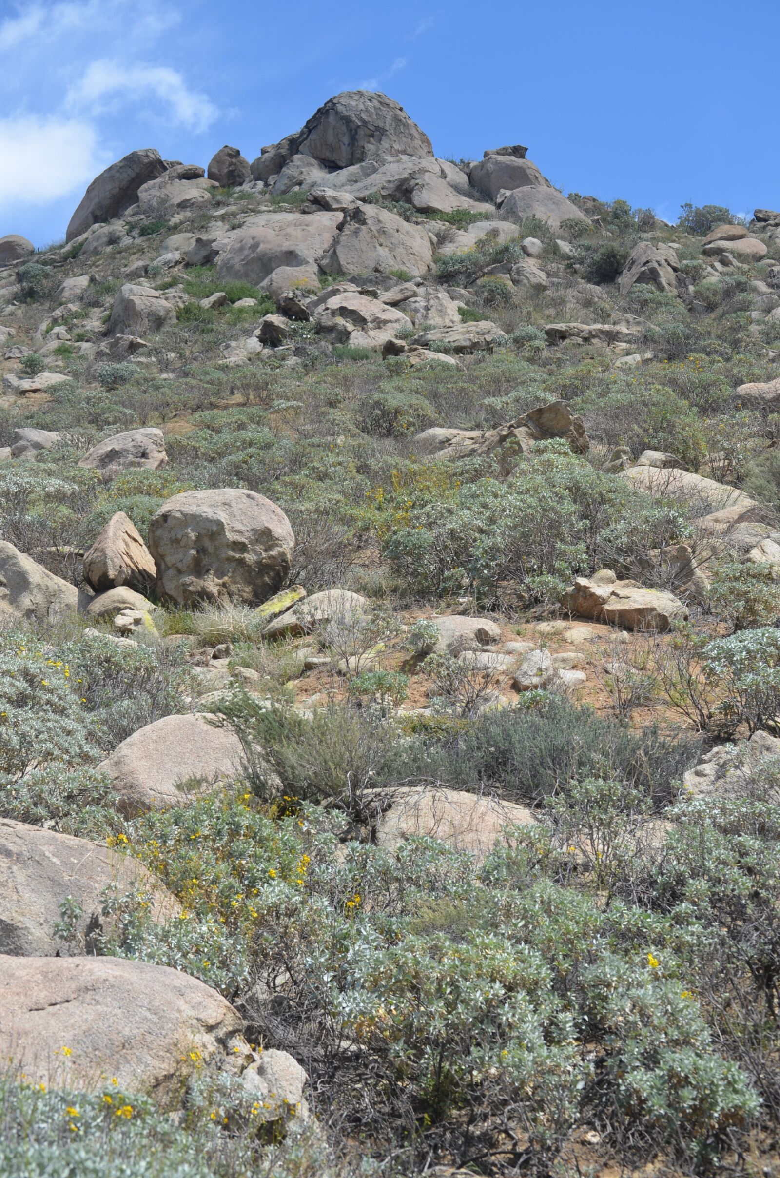 Nikon D5100 sample photo. Nature, rock, landscape photography