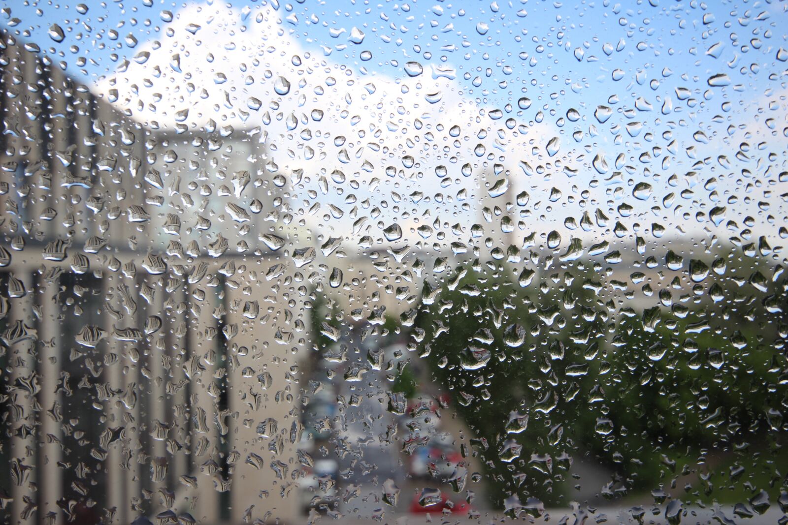 Canon EOS 600D (Rebel EOS T3i / EOS Kiss X5) sample photo. Rain, drops of water photography