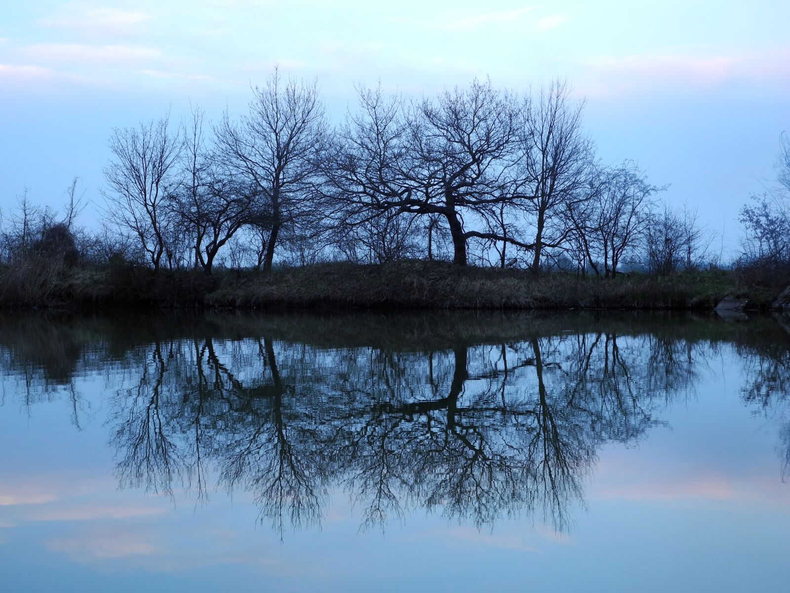 Nikon Coolpix P7000 sample photo. Tree, reflection, water photography