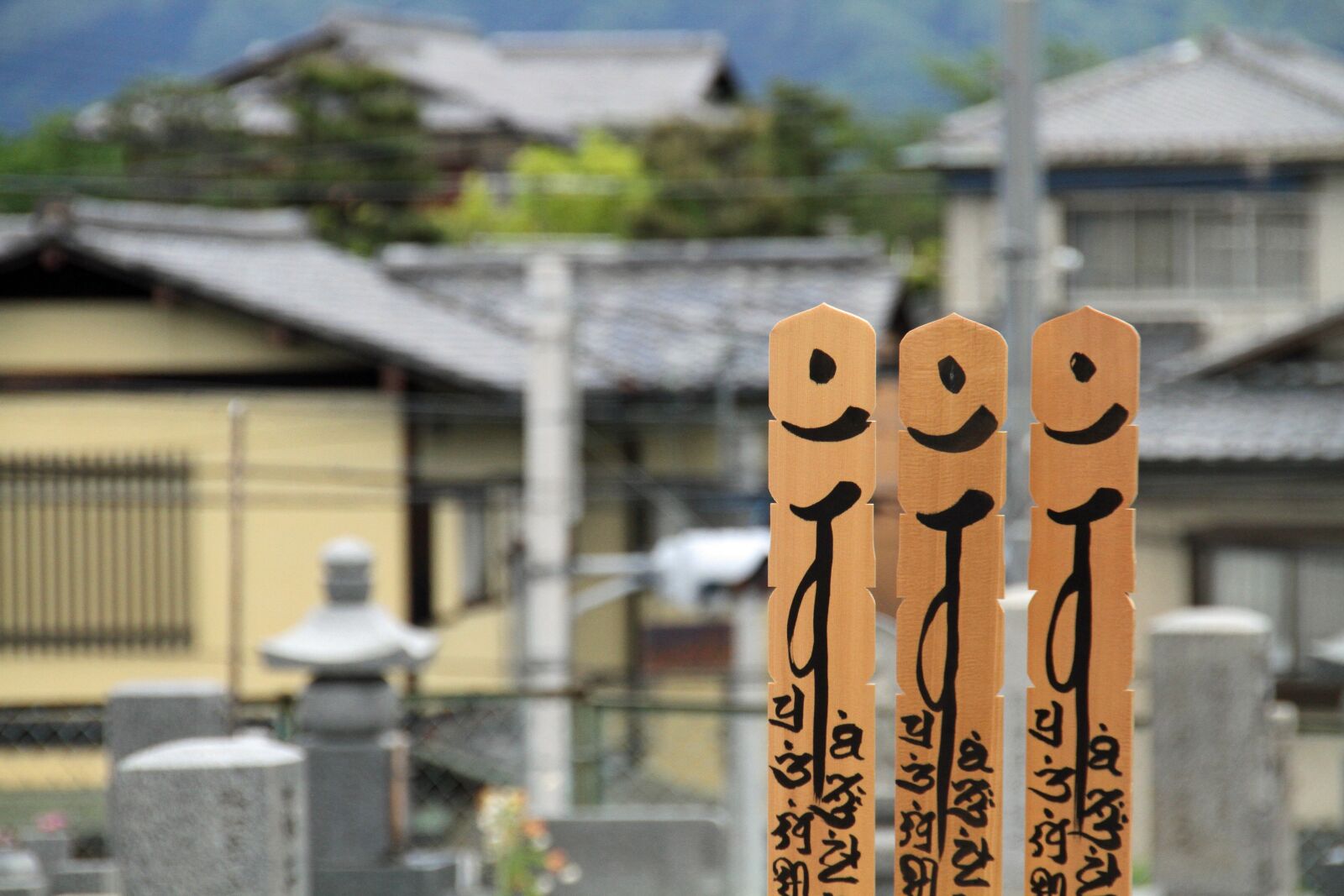 Canon EOS 7D sample photo. Cemetery, japanese, headstone photography