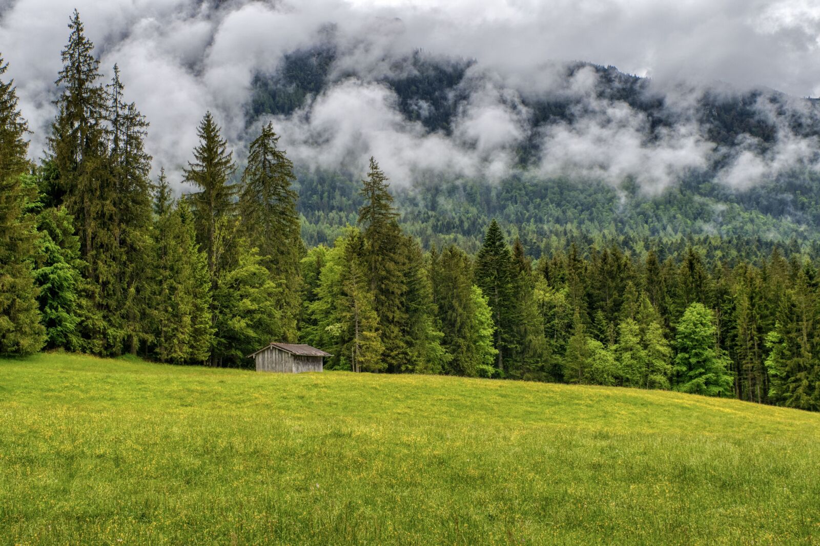Nikon D7500 sample photo. Forest, clouds, hut photography