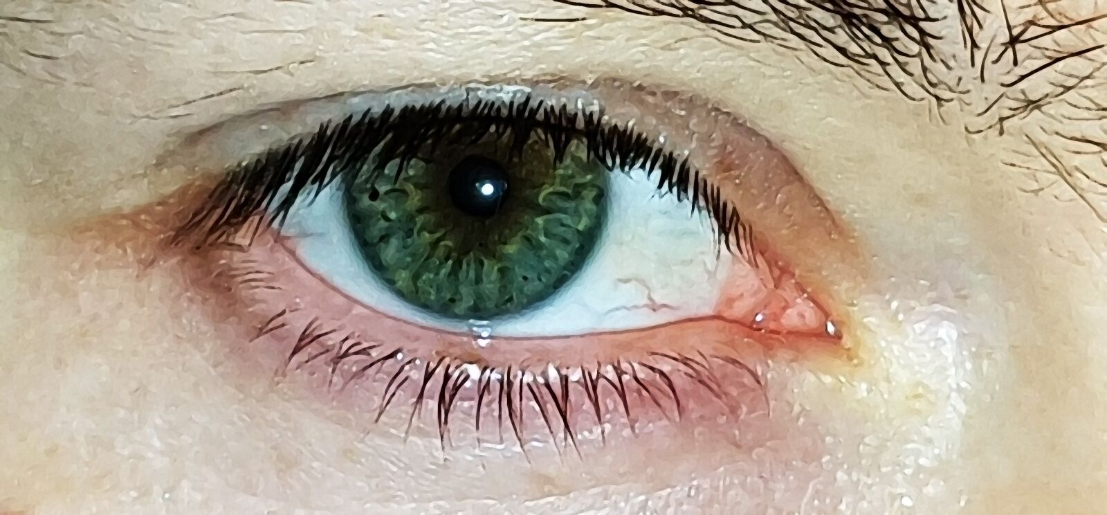 Samsung Galaxy S7 sample photo. Eye, green, eyelashes photography