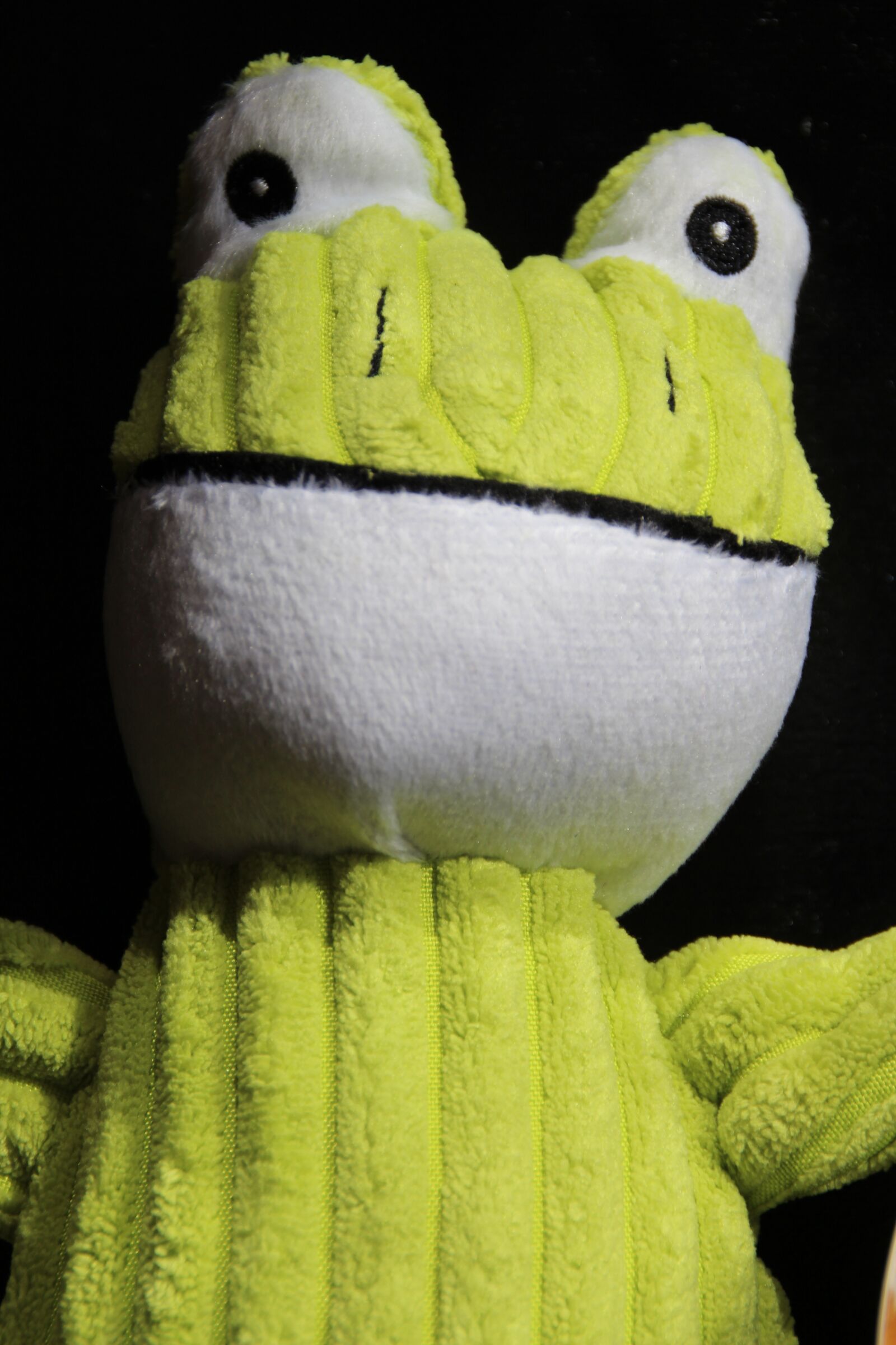 Canon EOS 700D (EOS Rebel T5i / EOS Kiss X7i) sample photo. Toy, frog, the softness photography