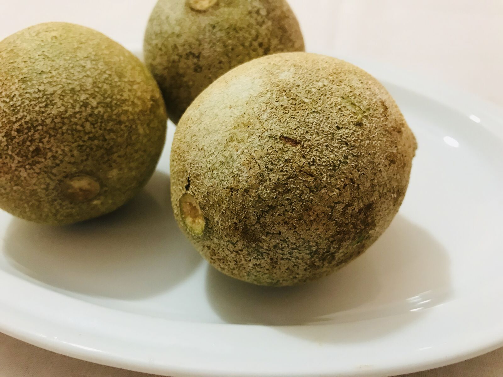 iPhone 7 back camera 3.99mm f/1.8 sample photo. Wood apple, wood apple photography