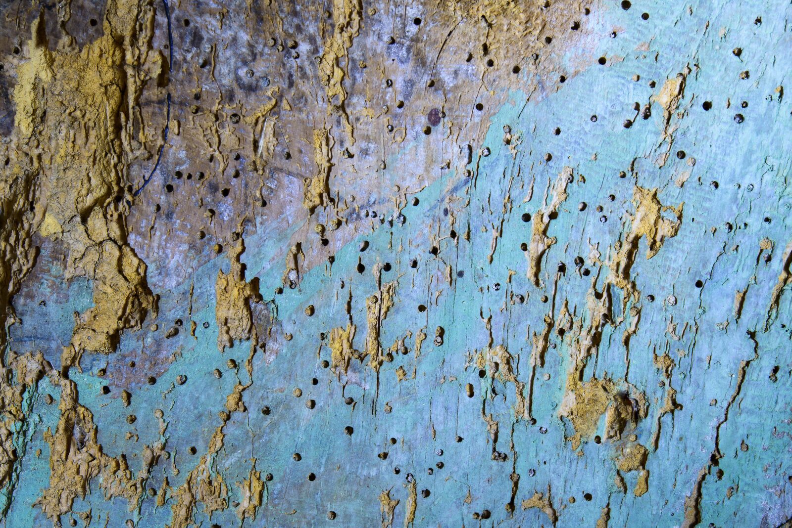Nikon D800 sample photo. Wood, old, texture photography
