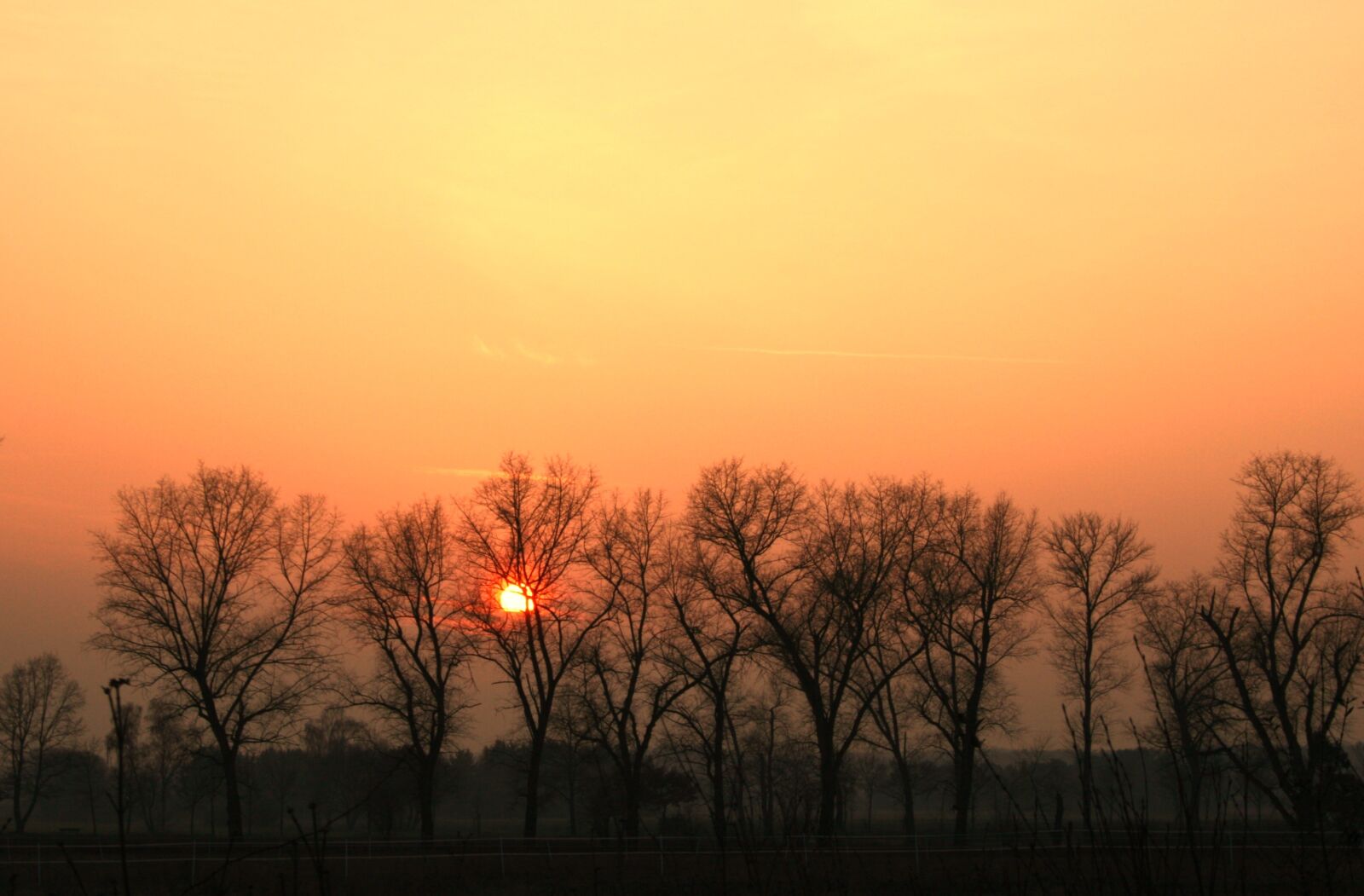 Canon EOS 400D (EOS Digital Rebel XTi / EOS Kiss Digital X) sample photo. Sunset, nature, sun photography