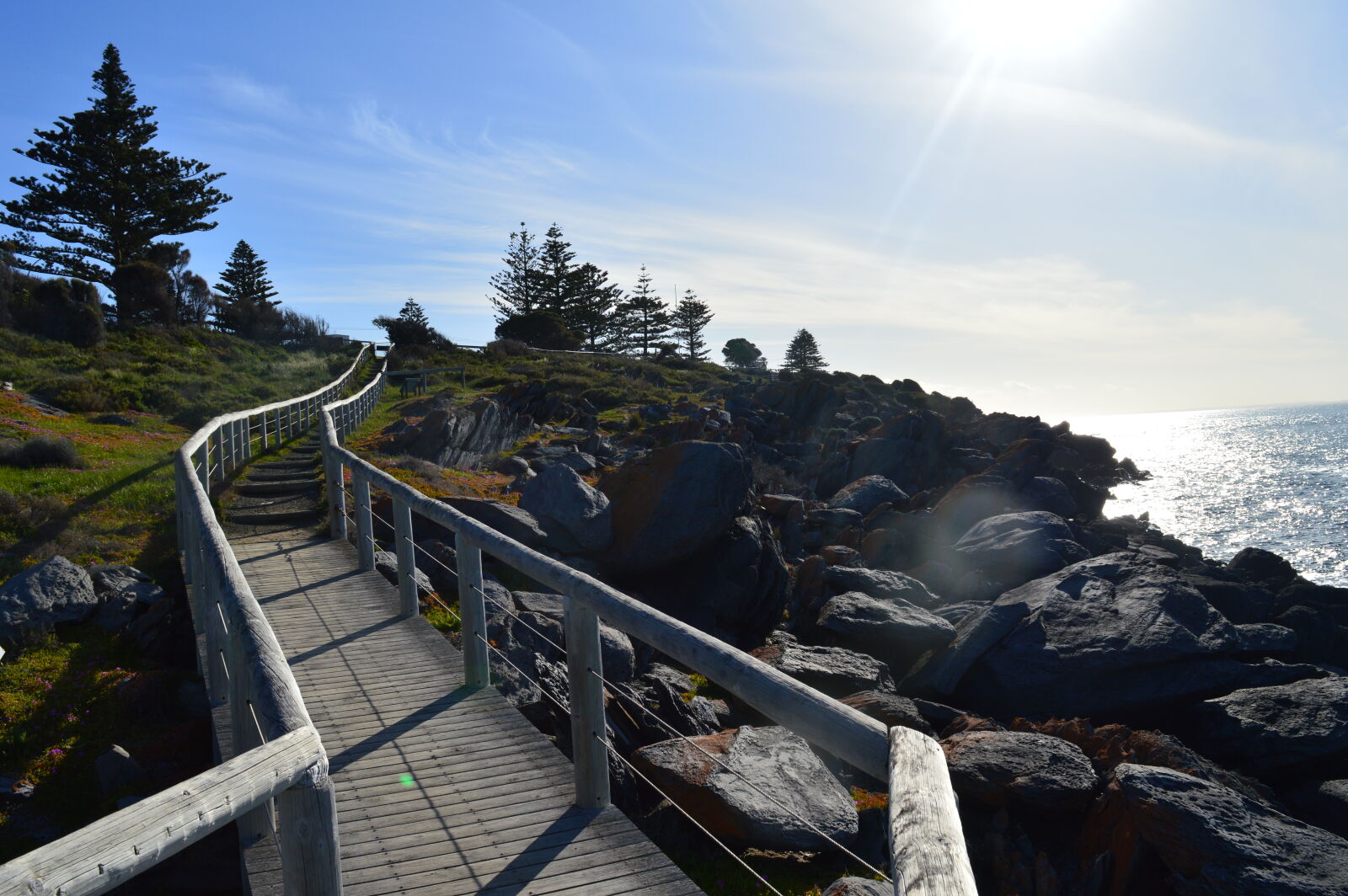 Nikon D3200 sample photo. Summer photography