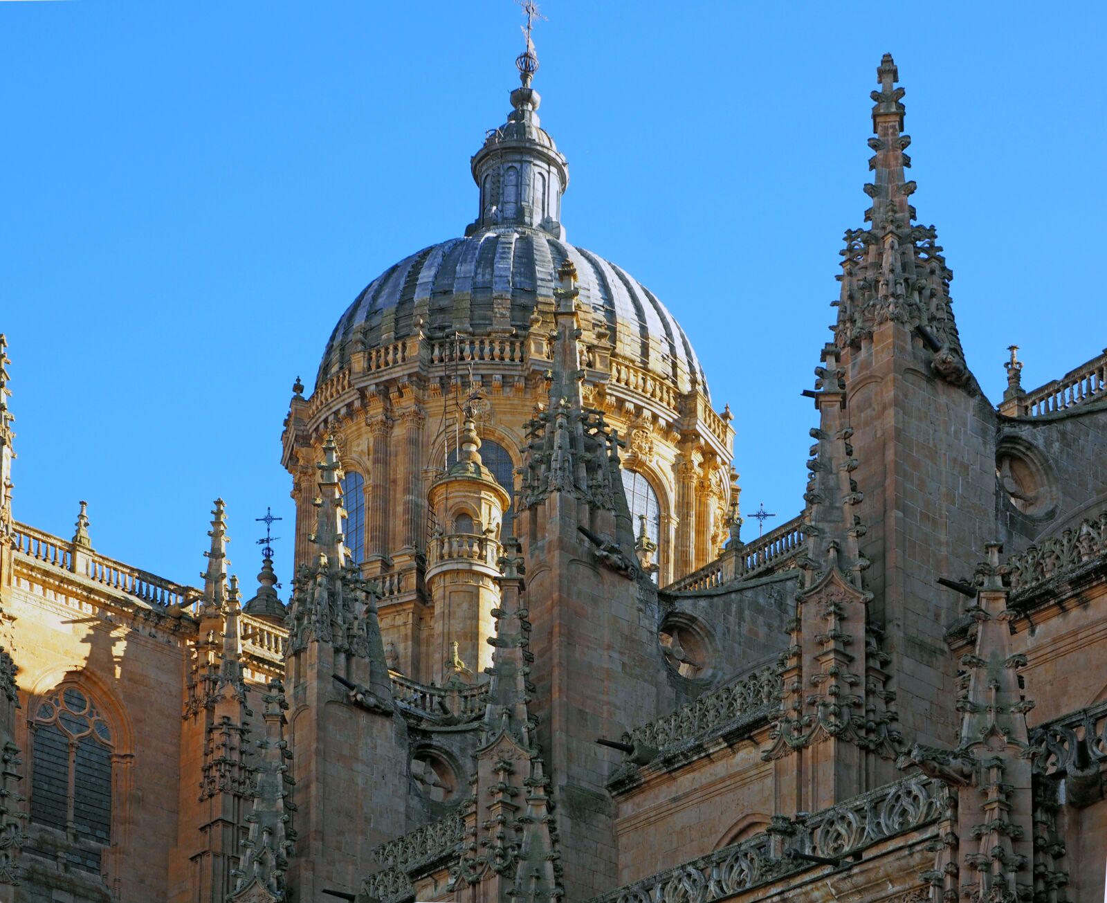 Olympus OM-D E-M1 + OLYMPUS M.12-50mm F3.5-6.3 sample photo. Dome, cathedral of salamanca photography