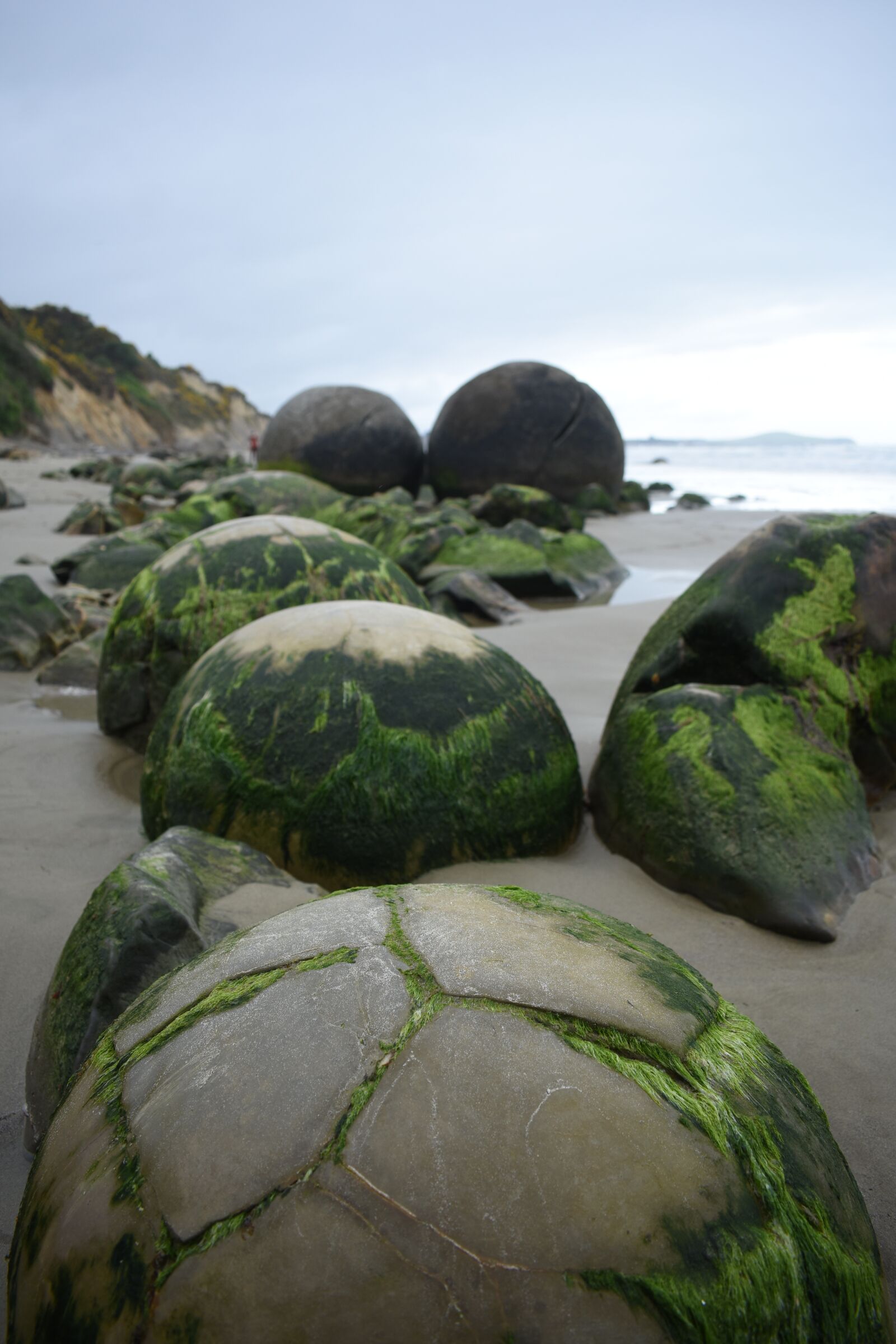 Nikon D3400 sample photo. Nature, moeraki, boulders photography