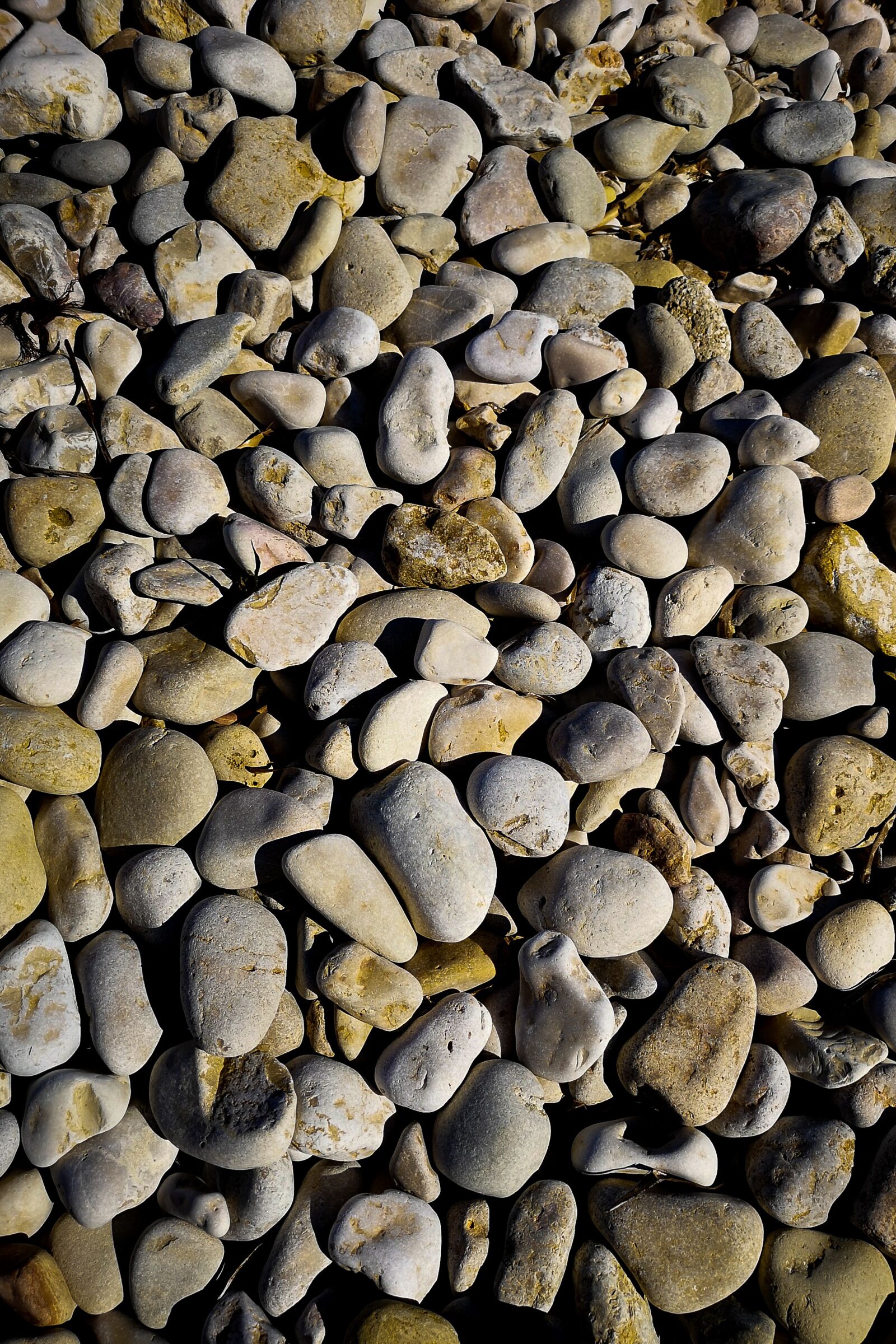 HUAWEI CLT-L29 sample photo. Pebble, beach, sea photography