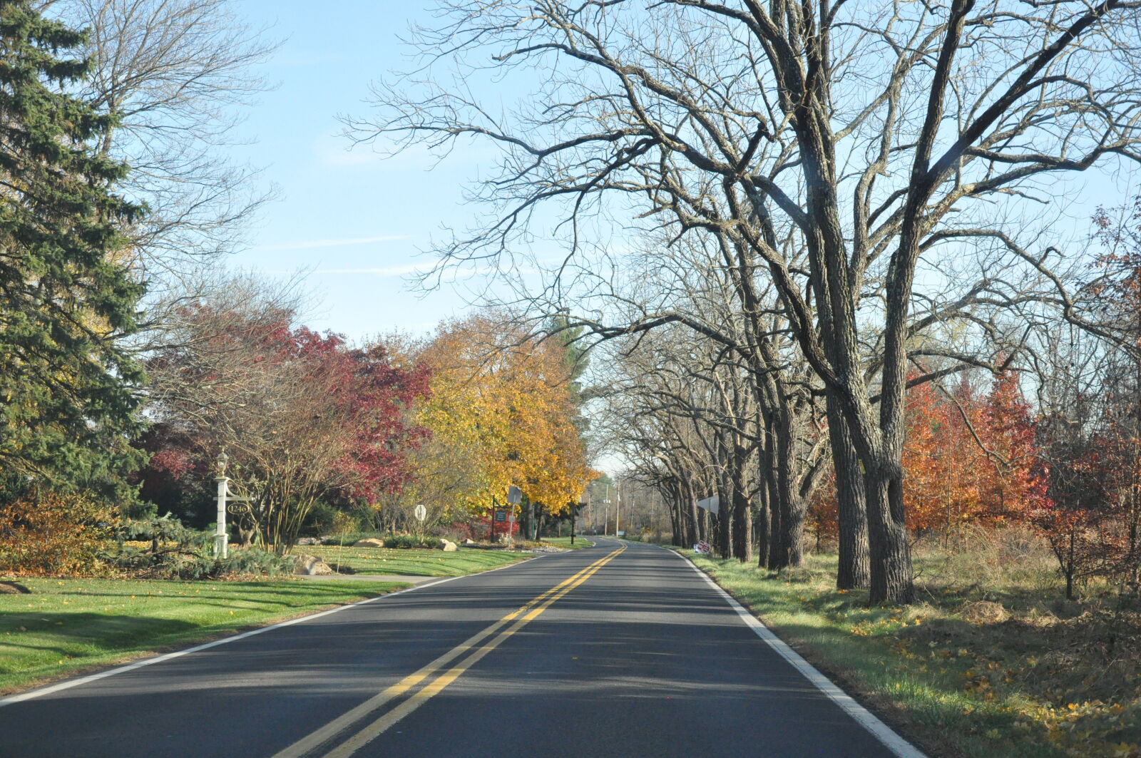 Nikon D90 sample photo. America, divider, fall, road photography