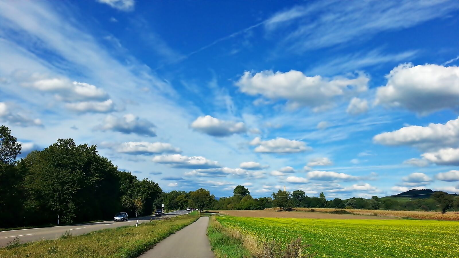 Samsung Galaxy S3 sample photo. Landscape, nature, green photography