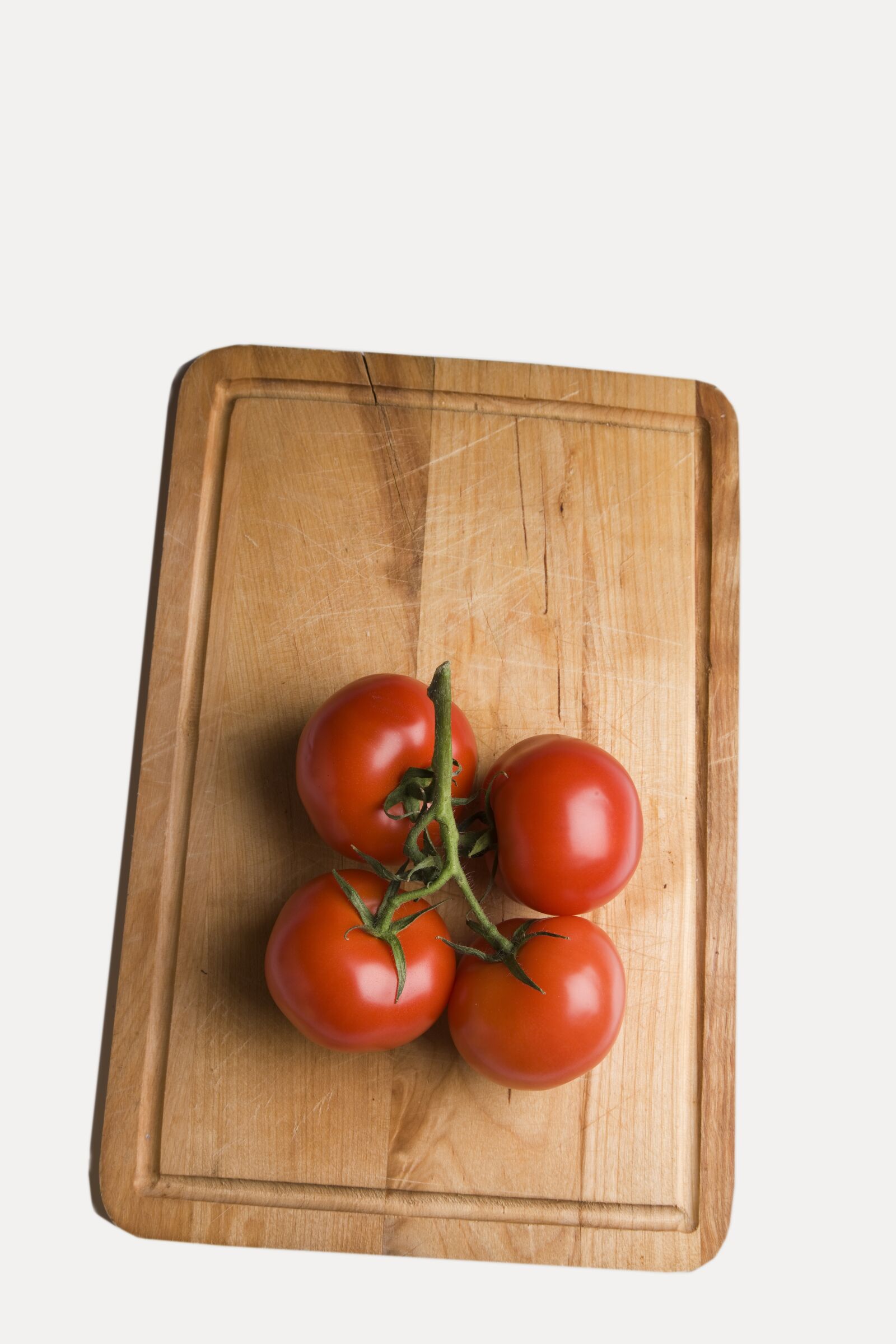 Canon EOS-1Ds Mark III sample photo. Tomato, red, bush tomato photography