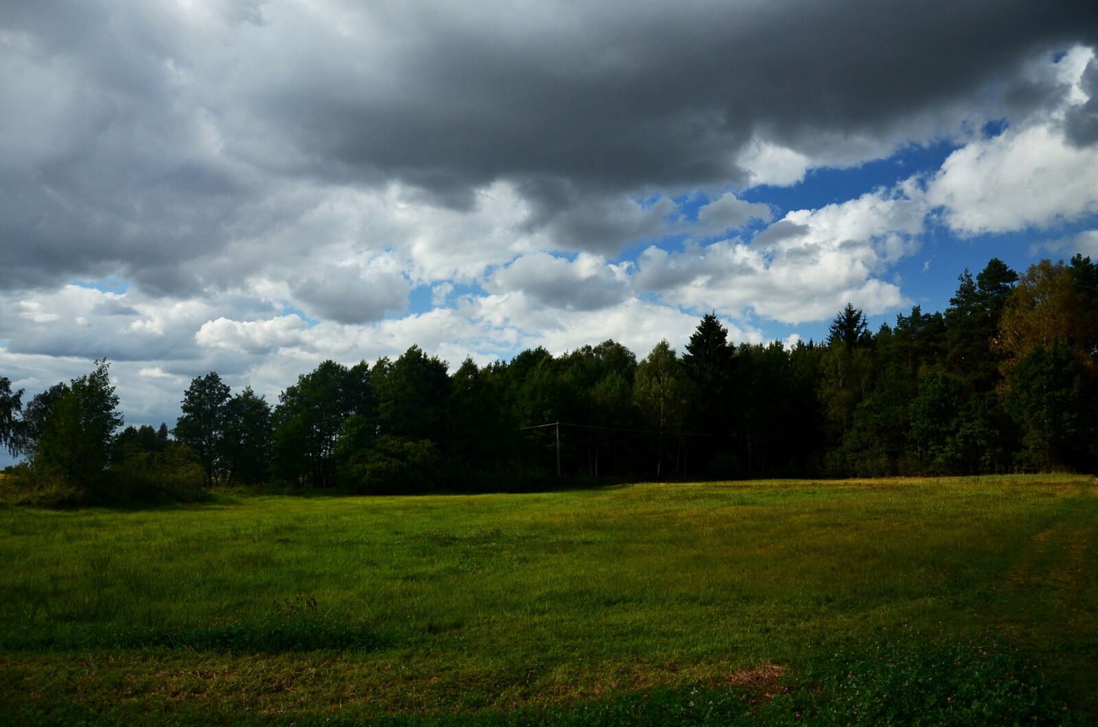 Nikon D5100 sample photo