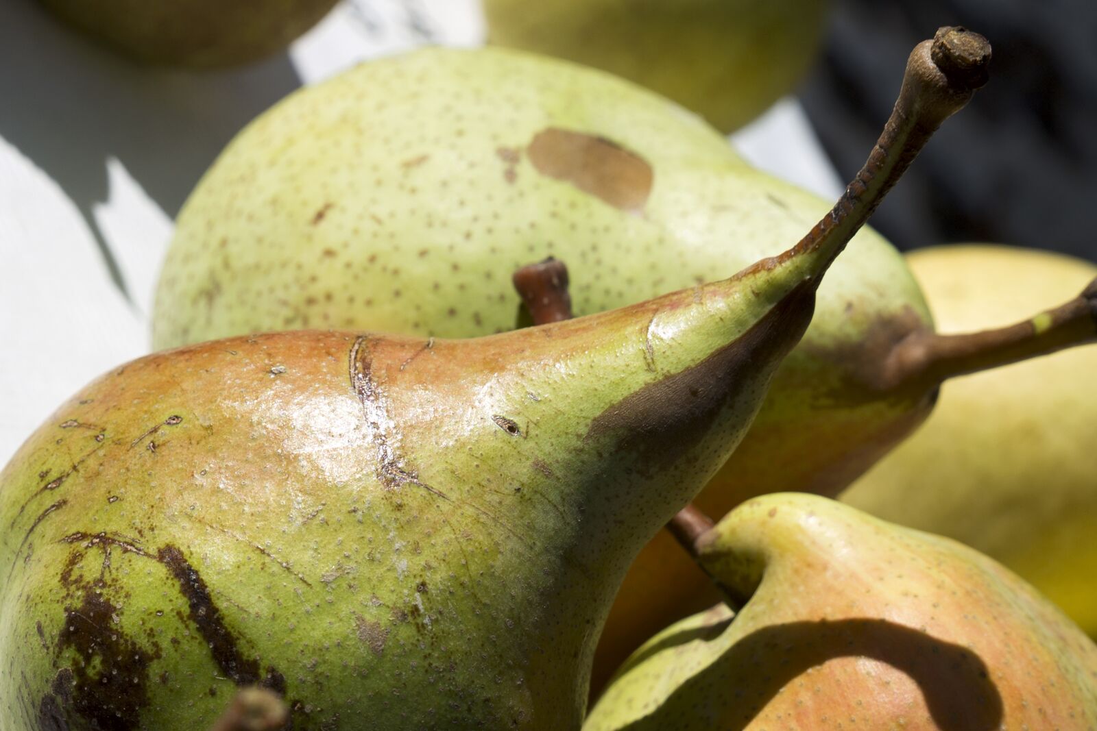 Canon EOS 6D sample photo. Pear, fruit, healthy photography