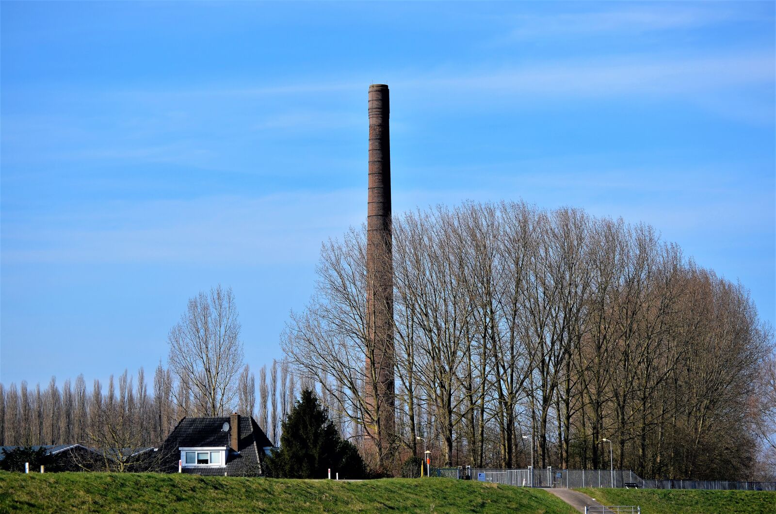 Nikon D5100 sample photo. Outdoor, no person, nature photography