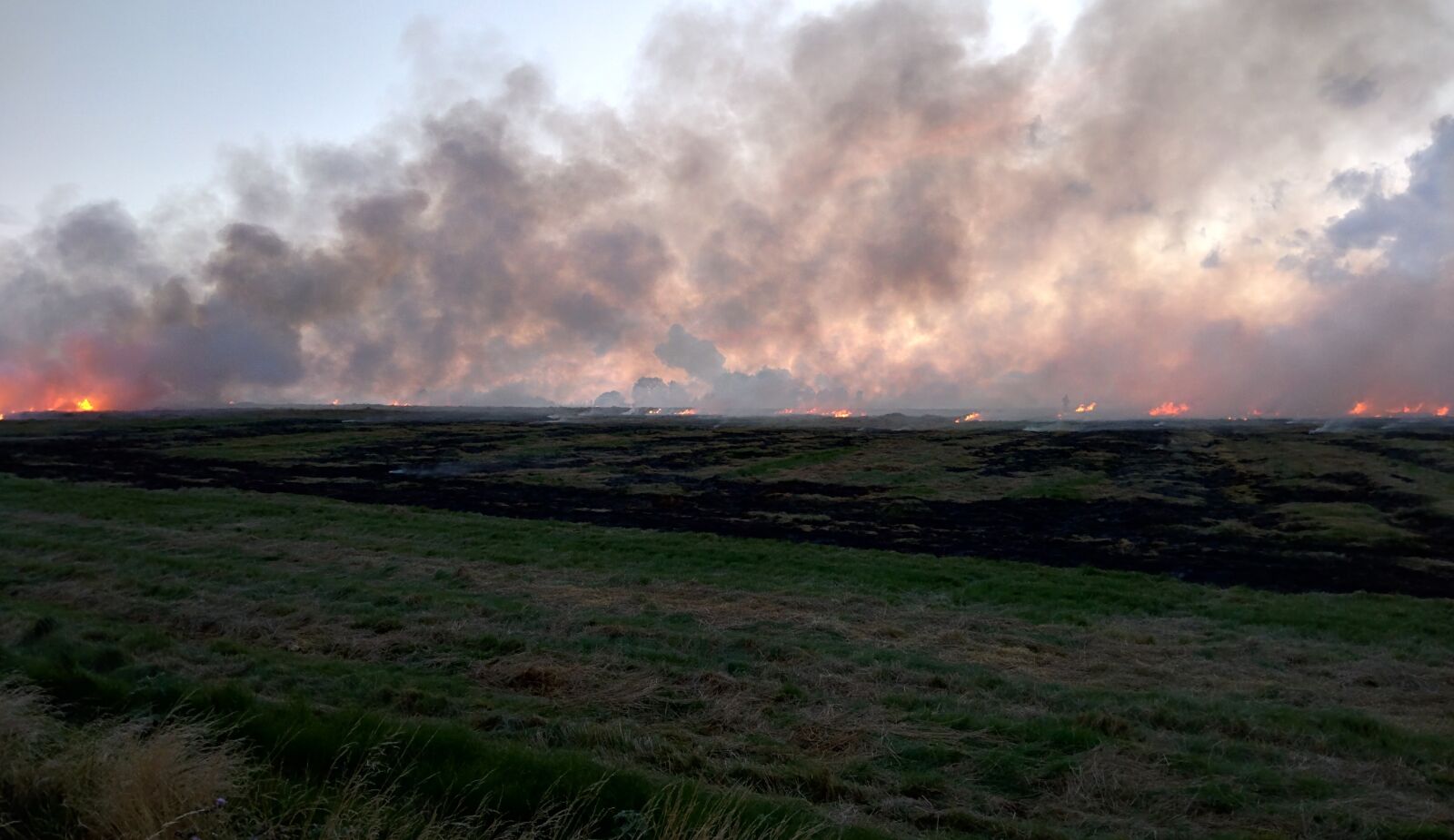 Motorola Nexus 6 sample photo. Fire, field, smoke photography