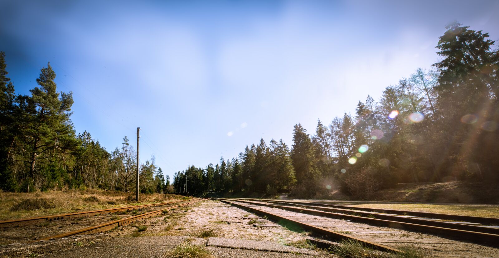 Nikon D7000 sample photo. Tracks, train, nature photography