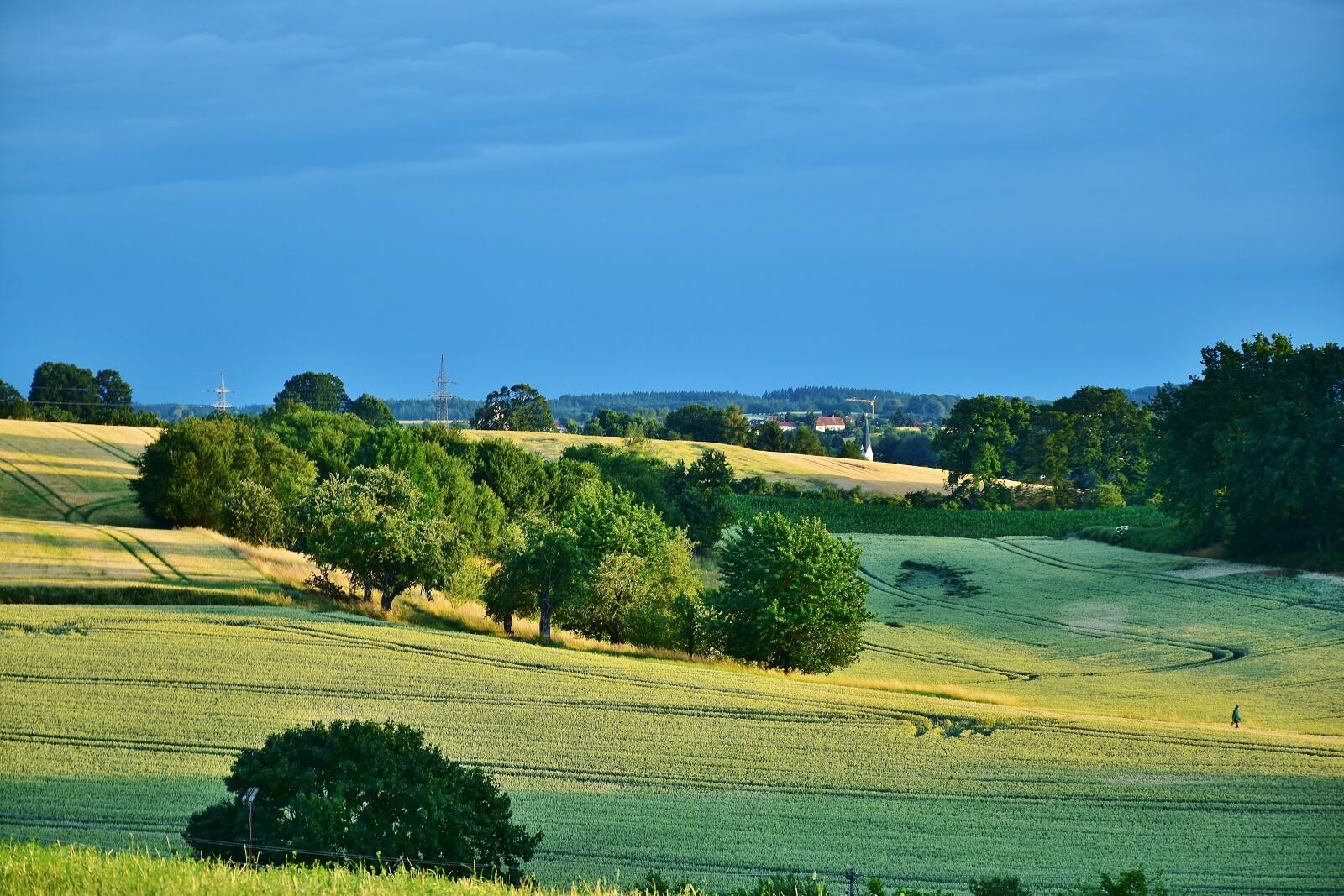 Nikon D7200 sample photo. Landscape, twilight, field photography
