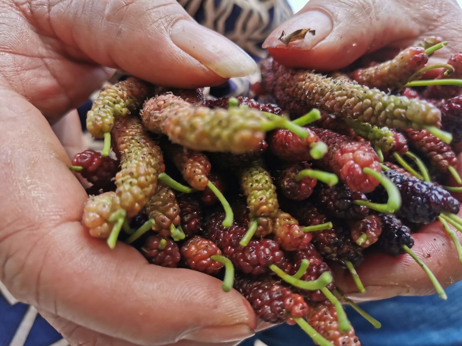 HUAWEI P30 sample photo. Fruit, raspberry, mulberry photography