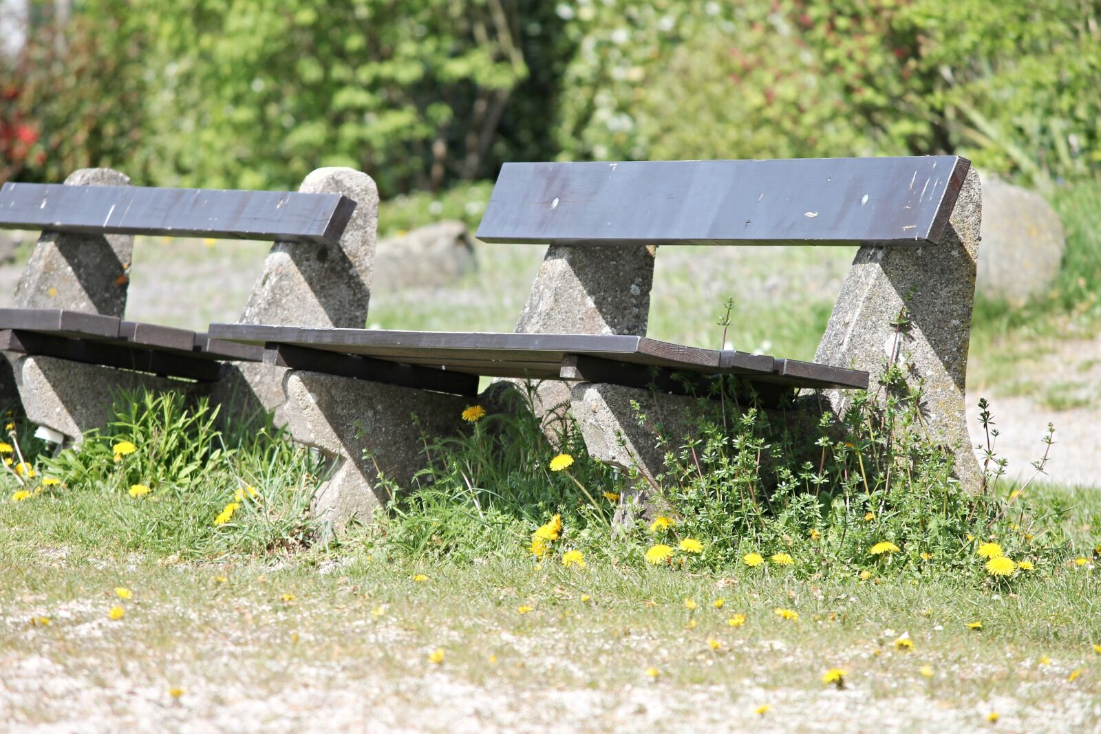 Canon EOS 1100D (EOS Rebel T3 / EOS Kiss X50) sample photo. Benches, rest, recovery photography